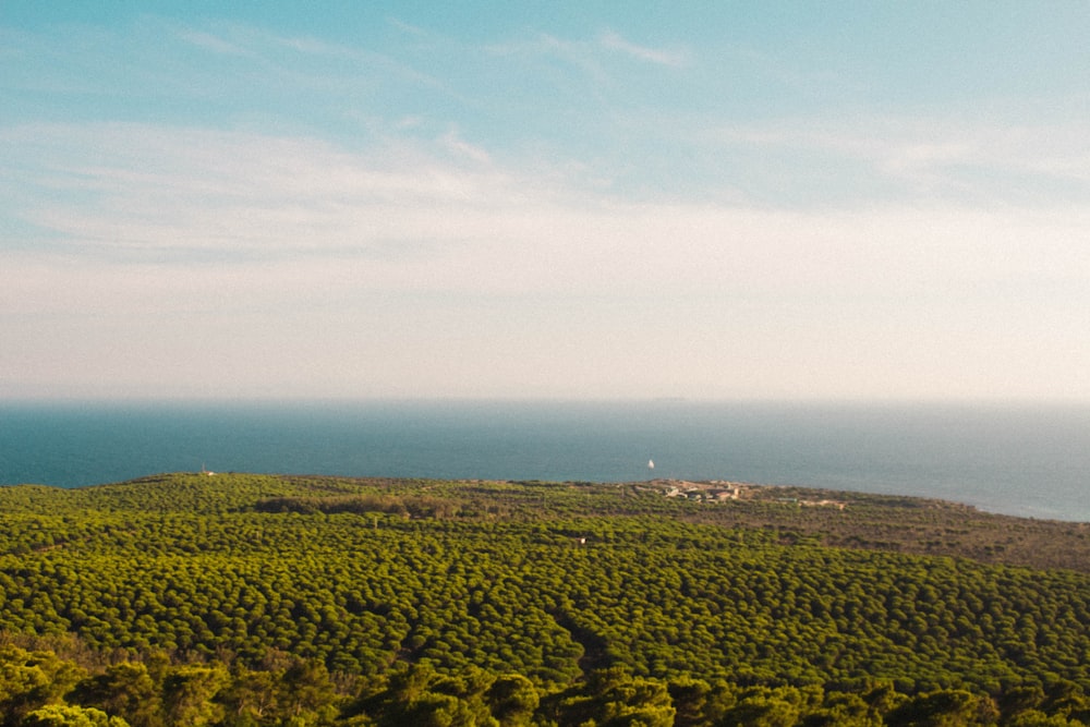 a view of a lush green hillside with a body of water in the distance