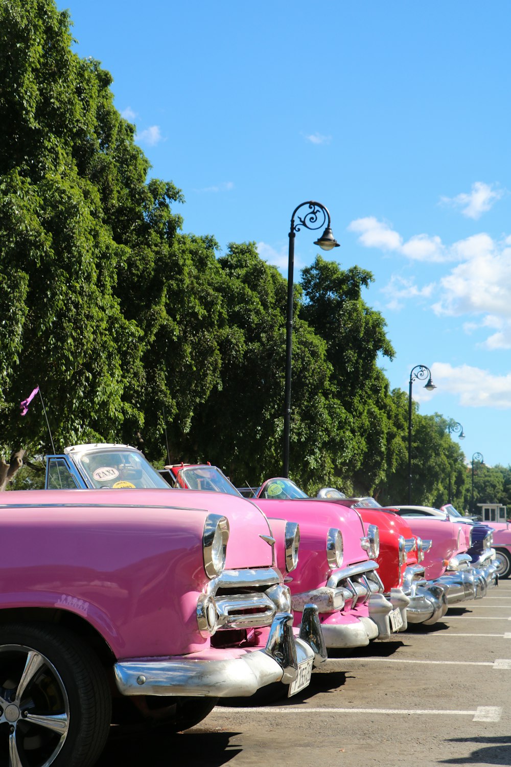 a row of pink classic cars parked in a parking lot