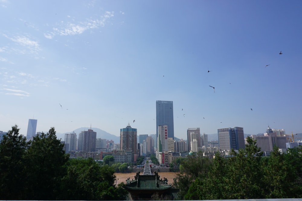 a view of a city from a park