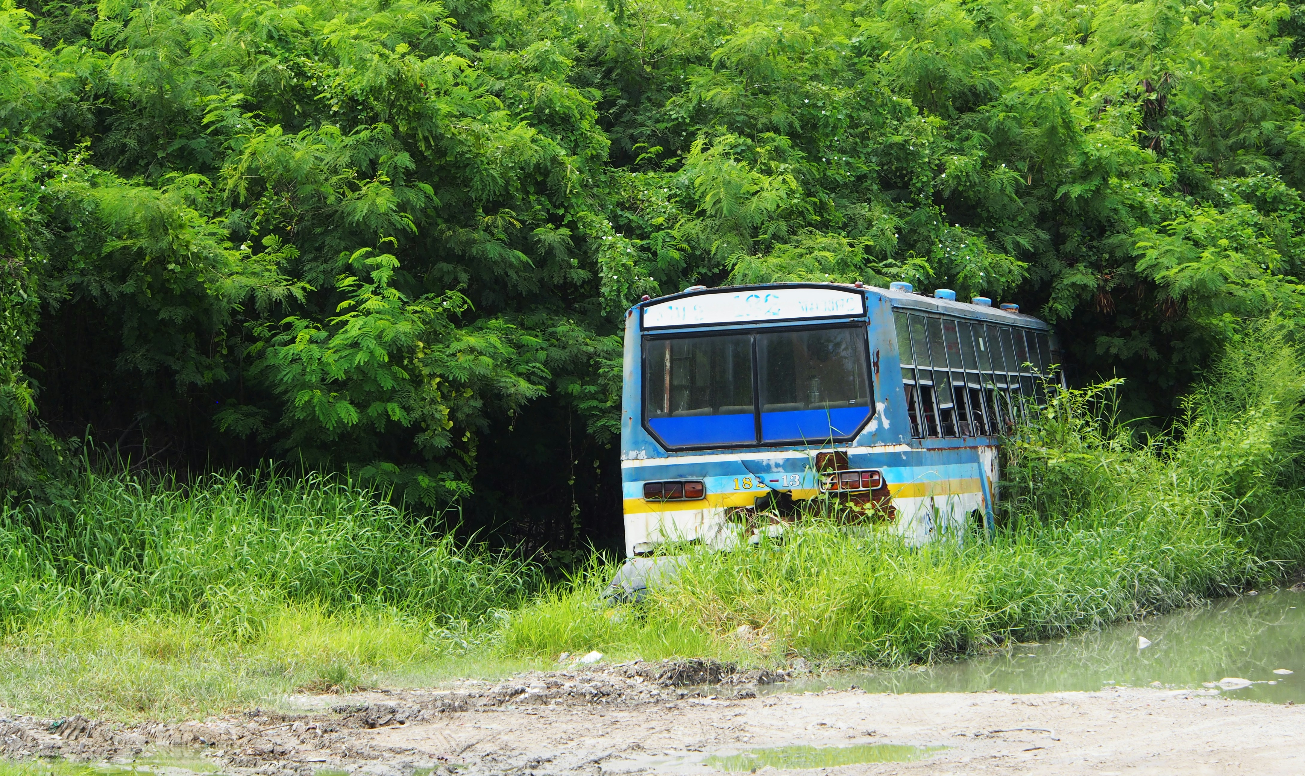 내장산 국립공원 케이블카 왕복 관련 이미지1