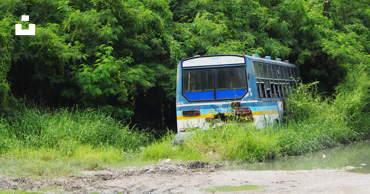 A bus that is sitting in the grass photo – Free Forest Image on Unsplash