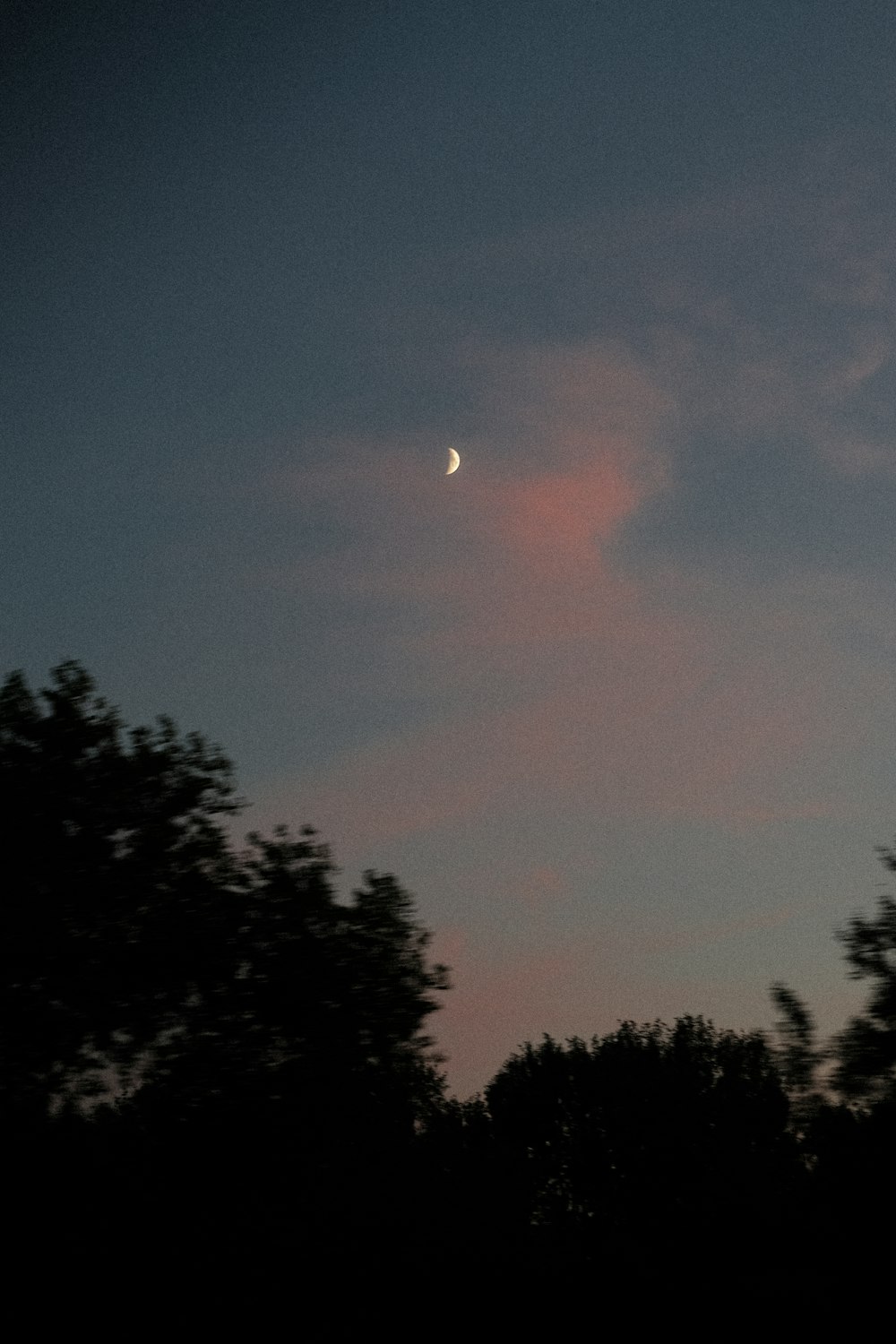 the moon is setting in the sky over the trees