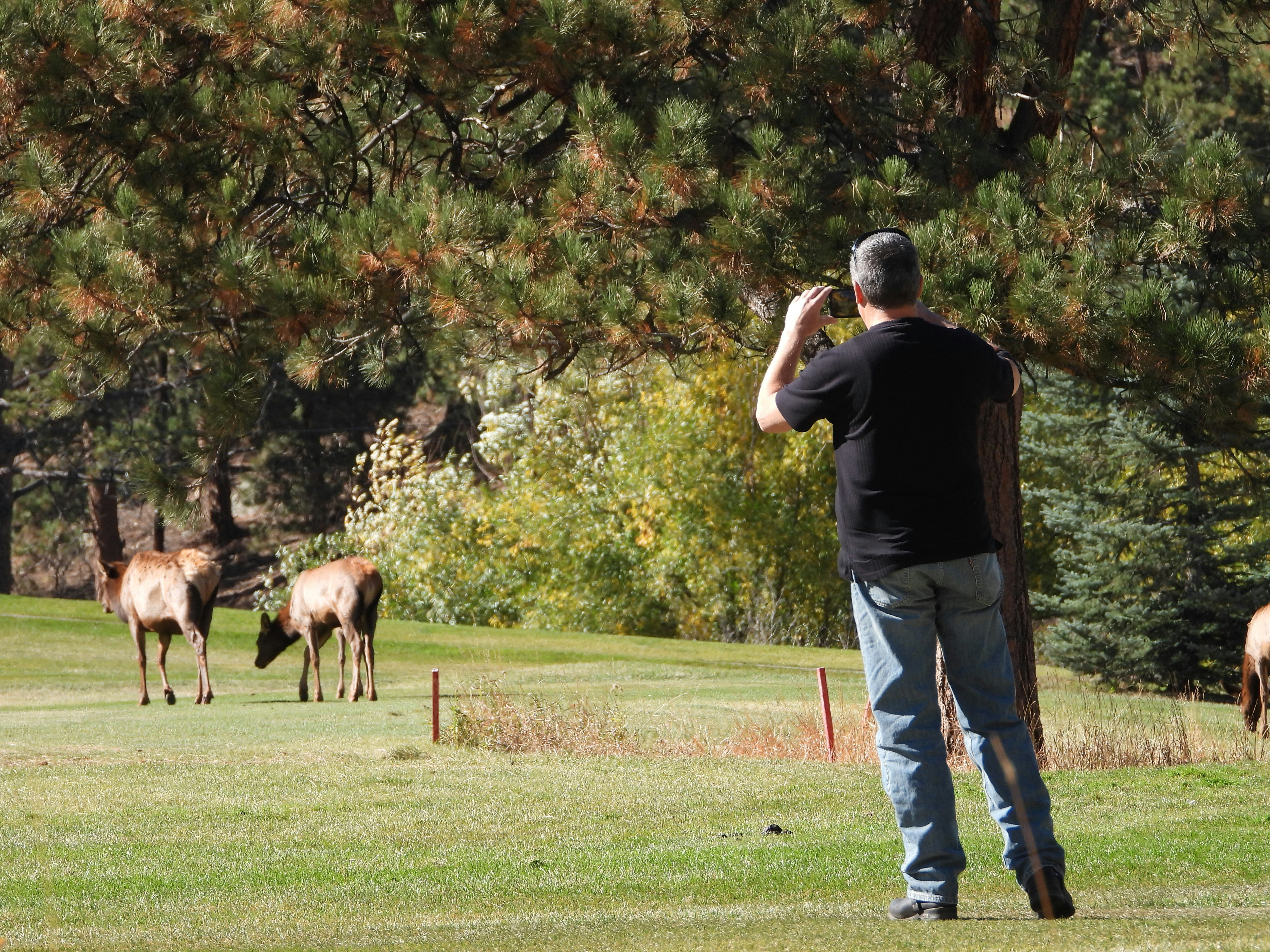Lone Elk County Park