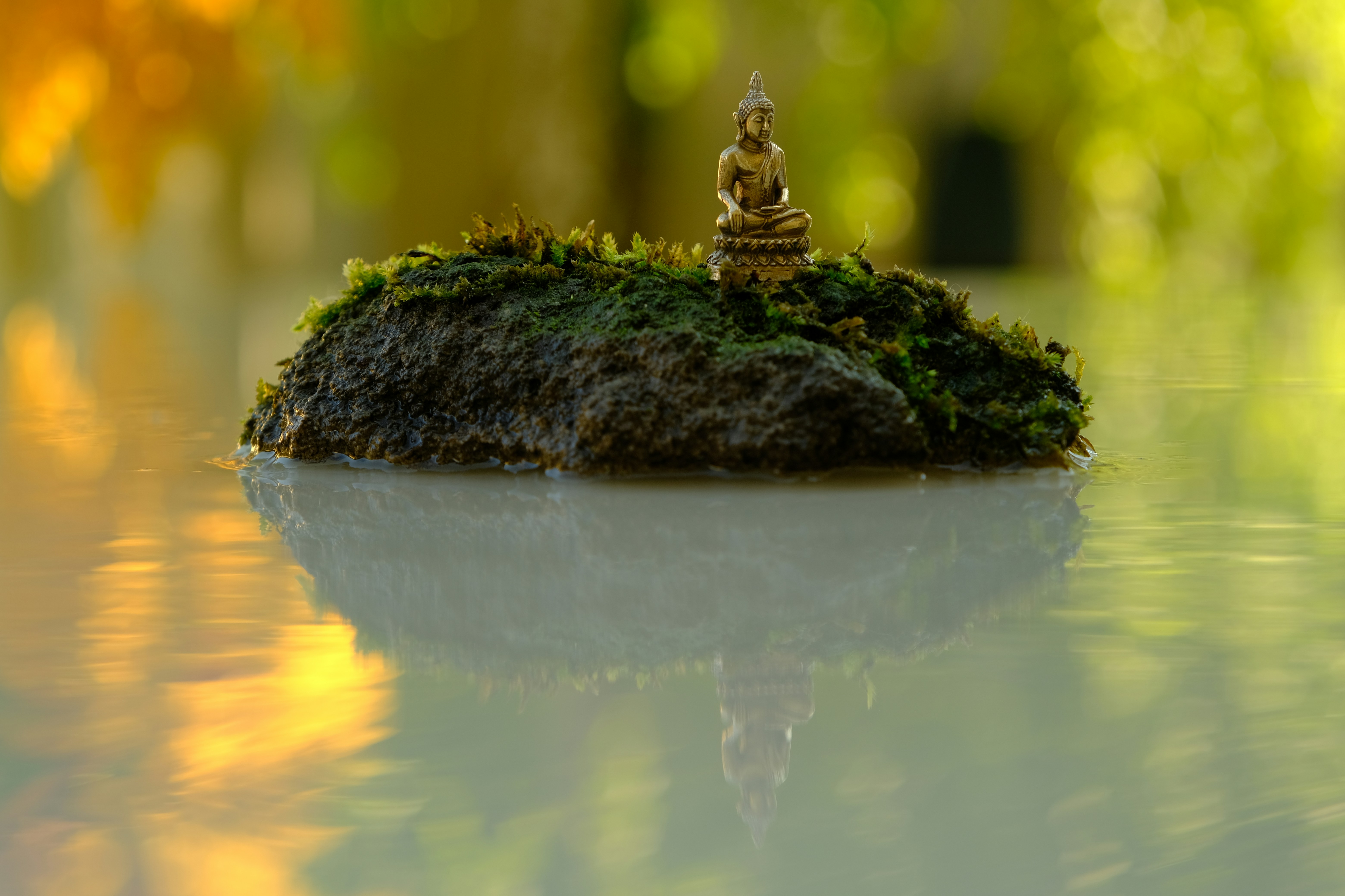 Buddha statue on moss rock