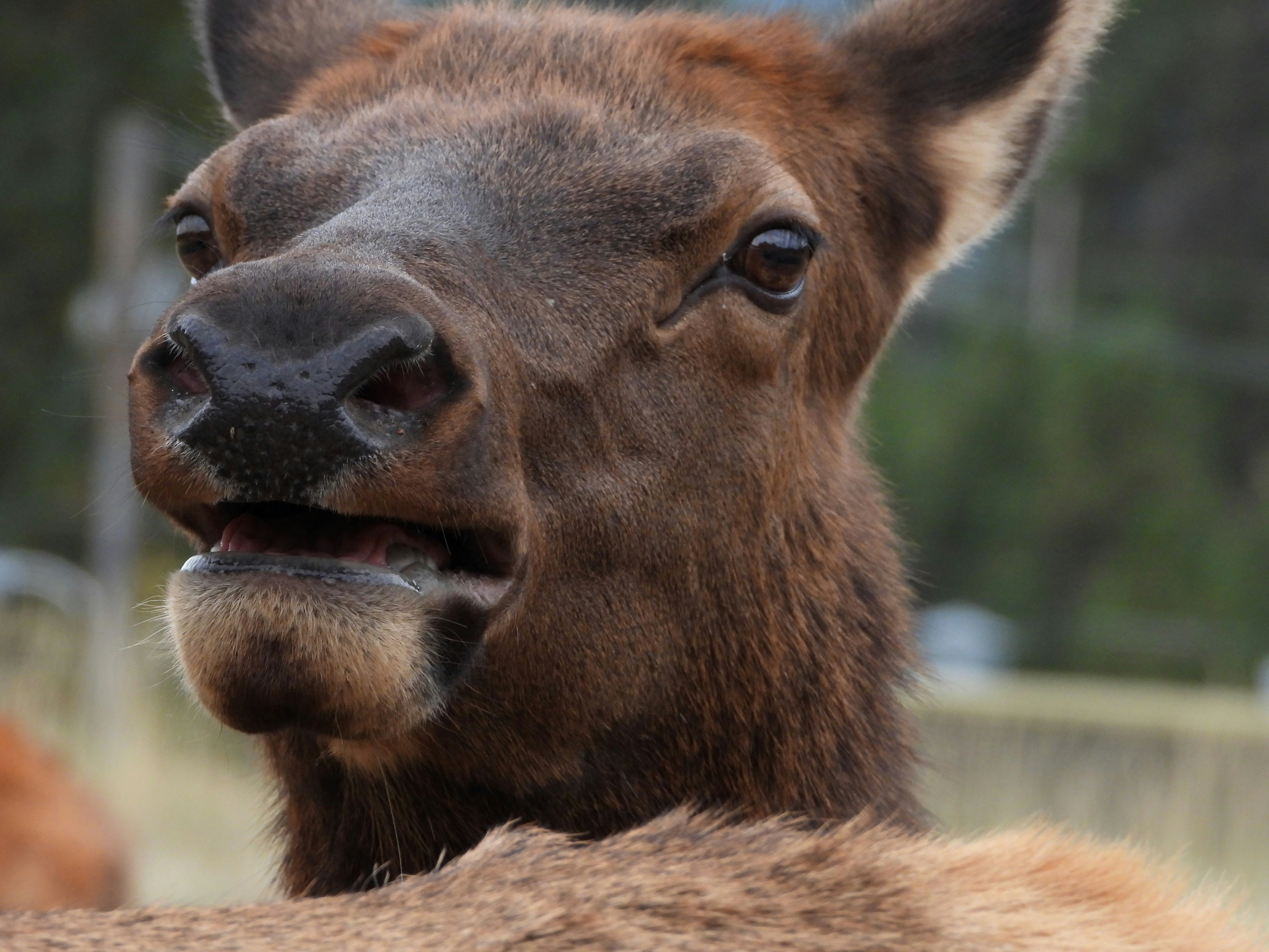 Photo by evergreene24