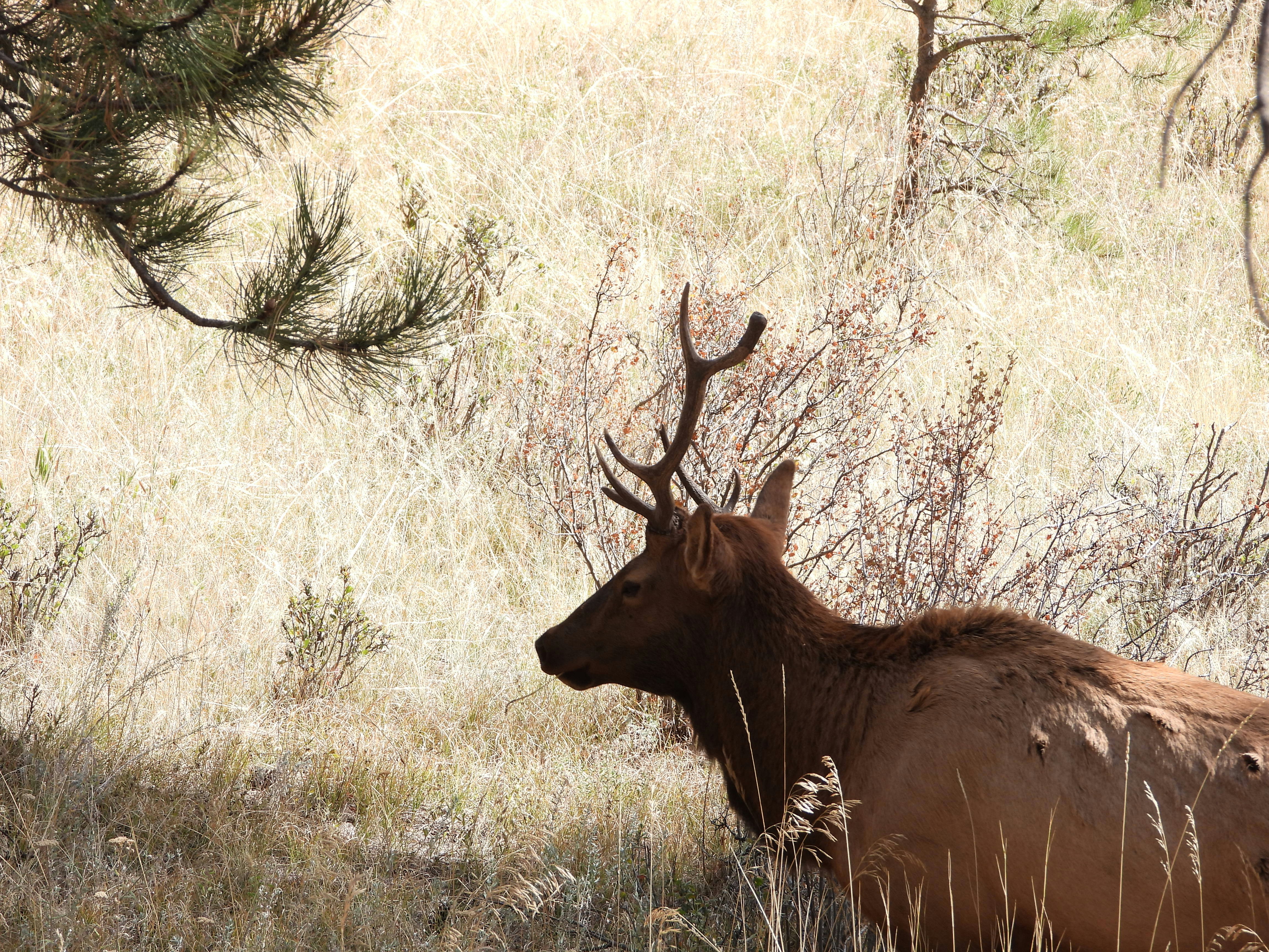 Photo by evergreene24