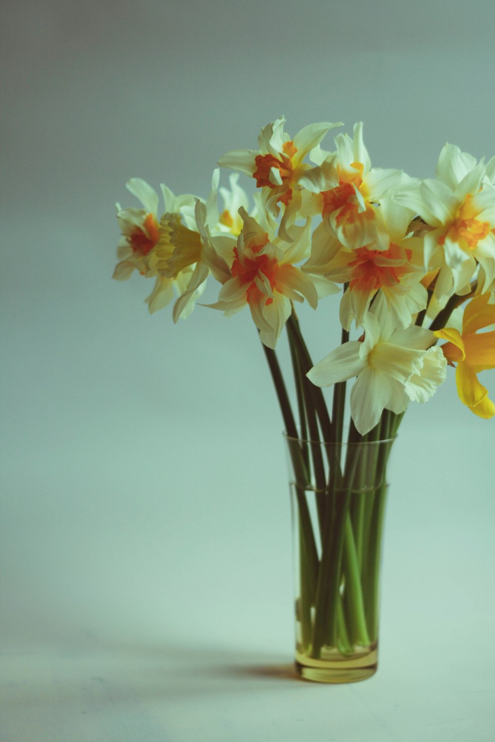 a glass vase filled with yellow and white flowers