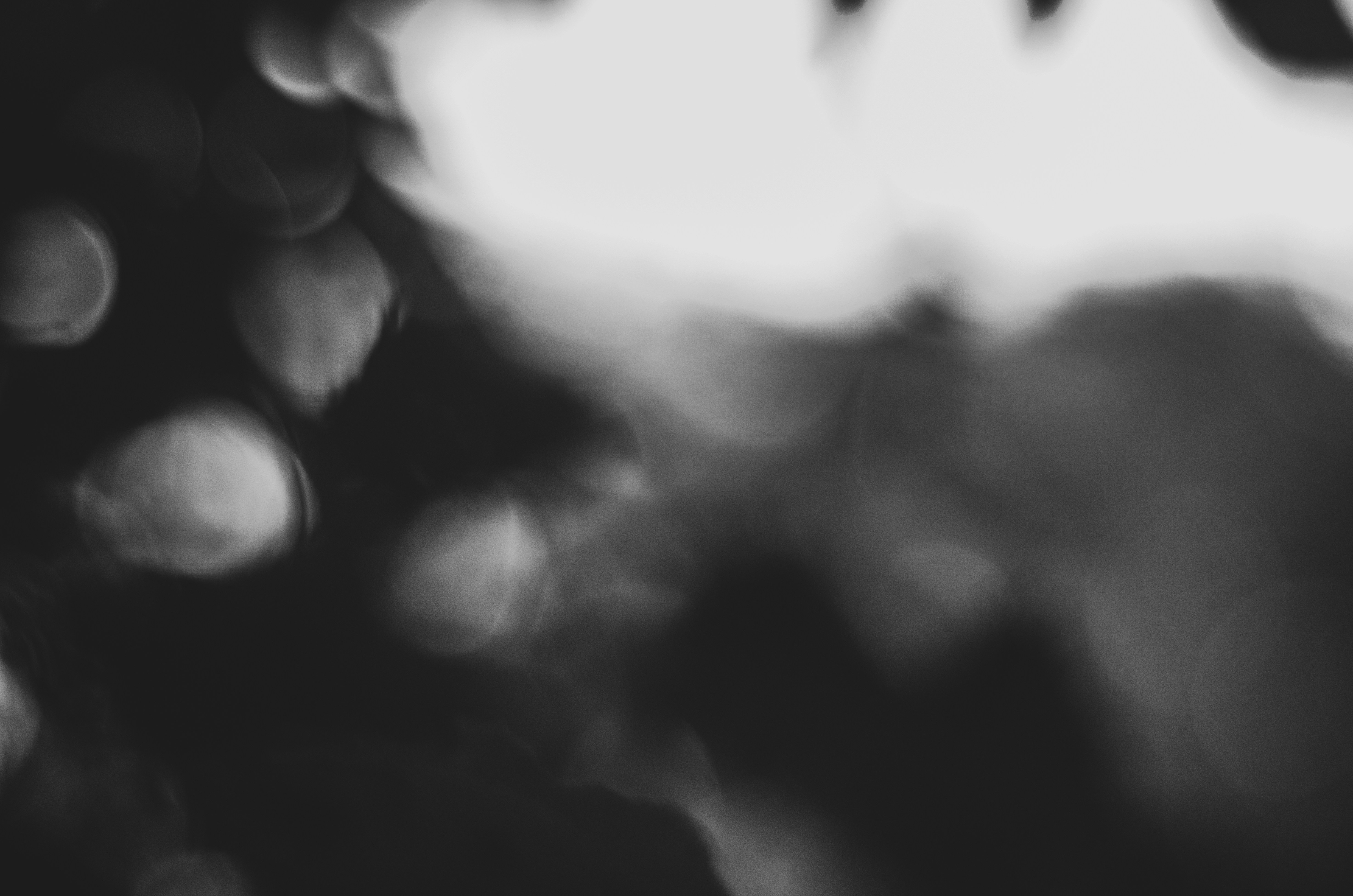 a blurry photo of a bunch of grapes