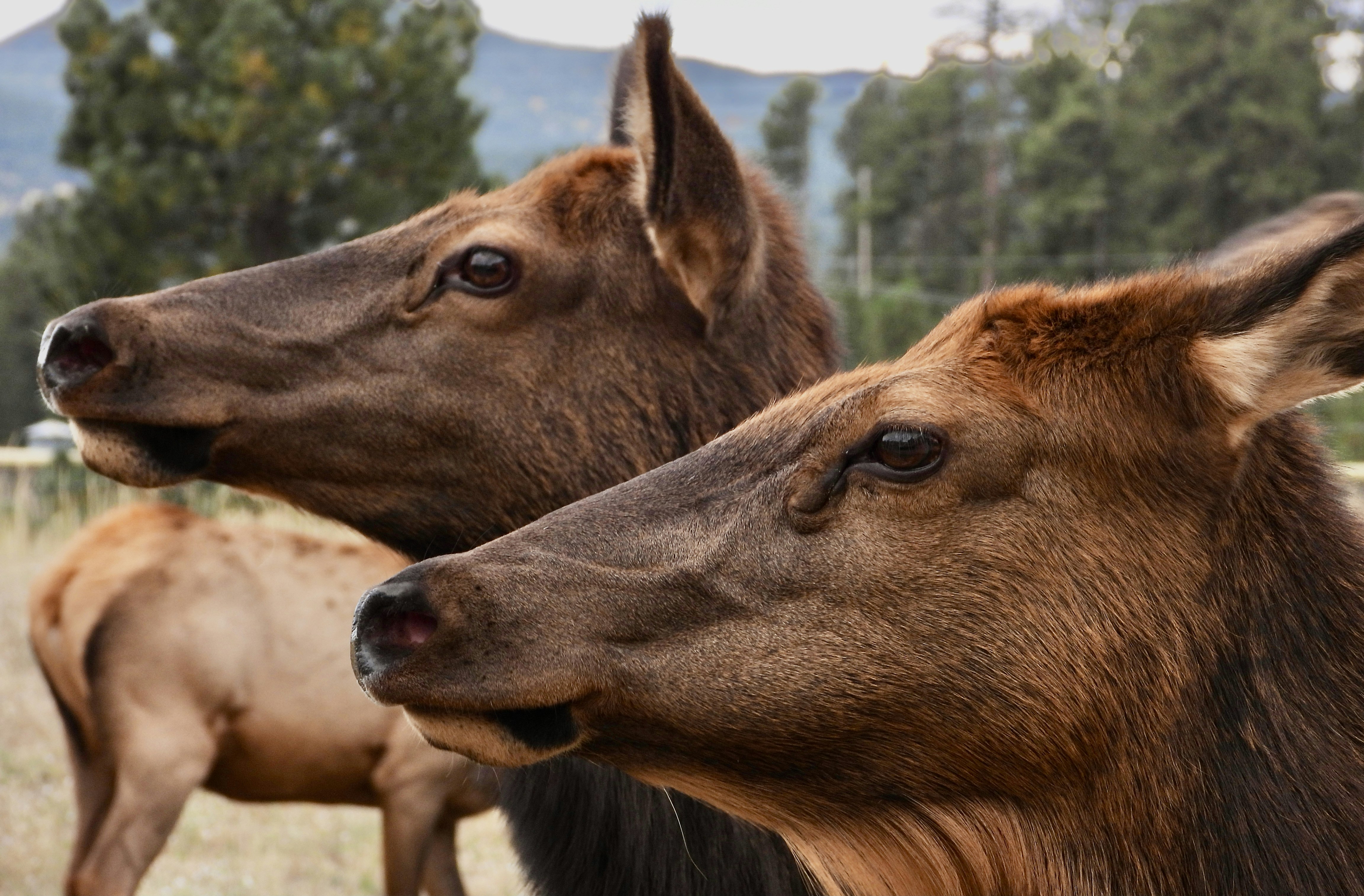 Photo by evergreene24