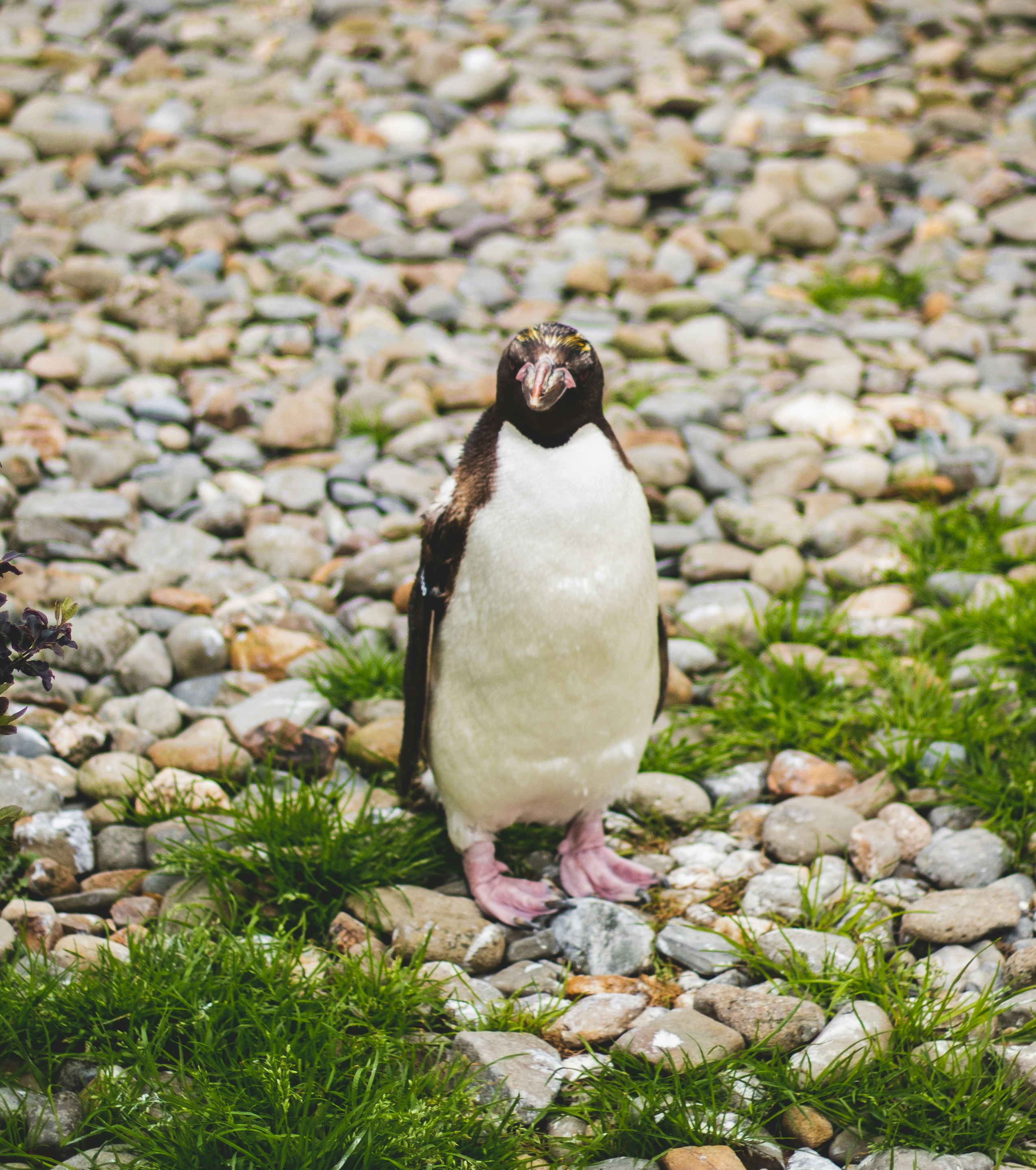 Photo by bcm_photography