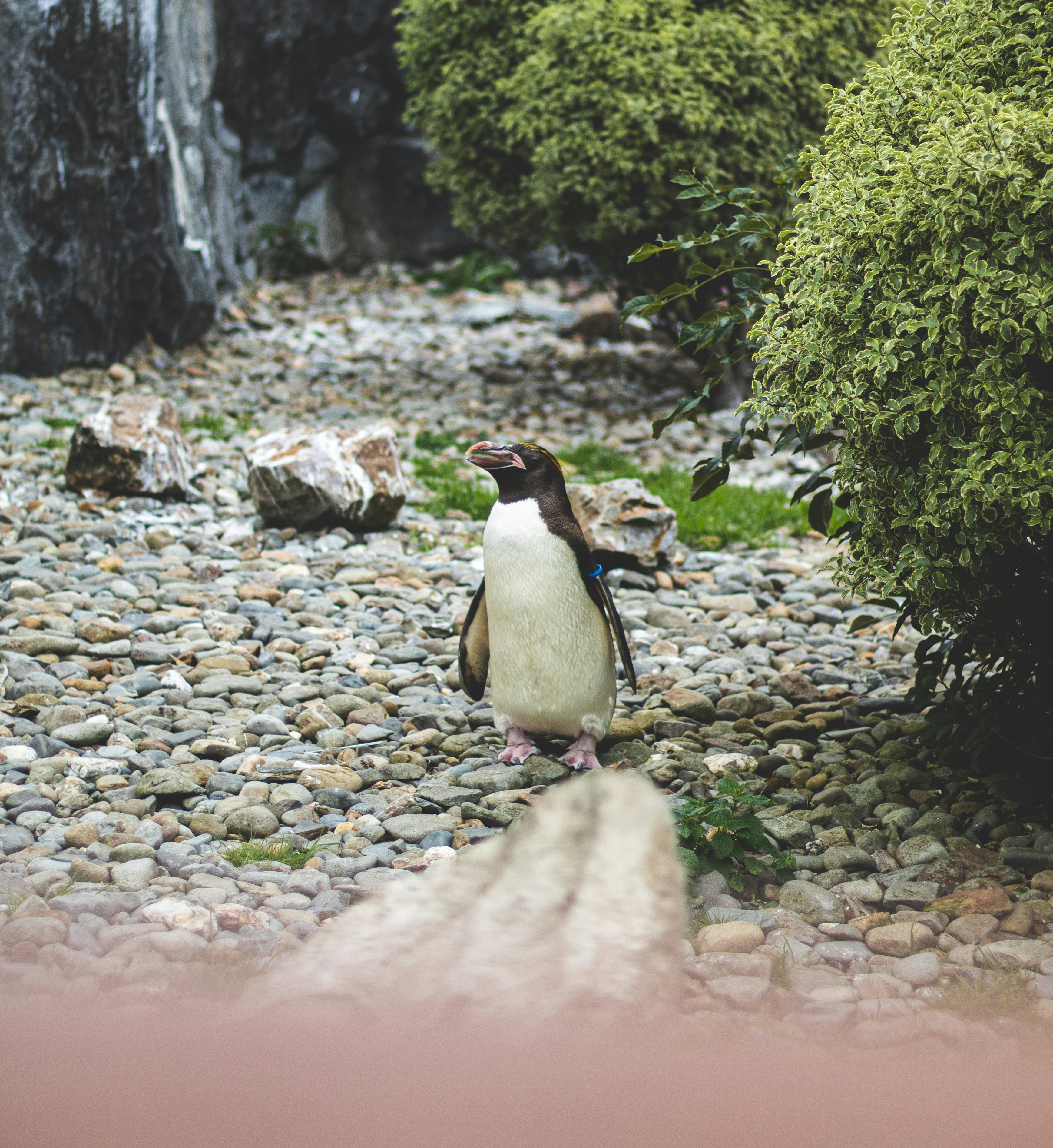 Photo by bcm_photography