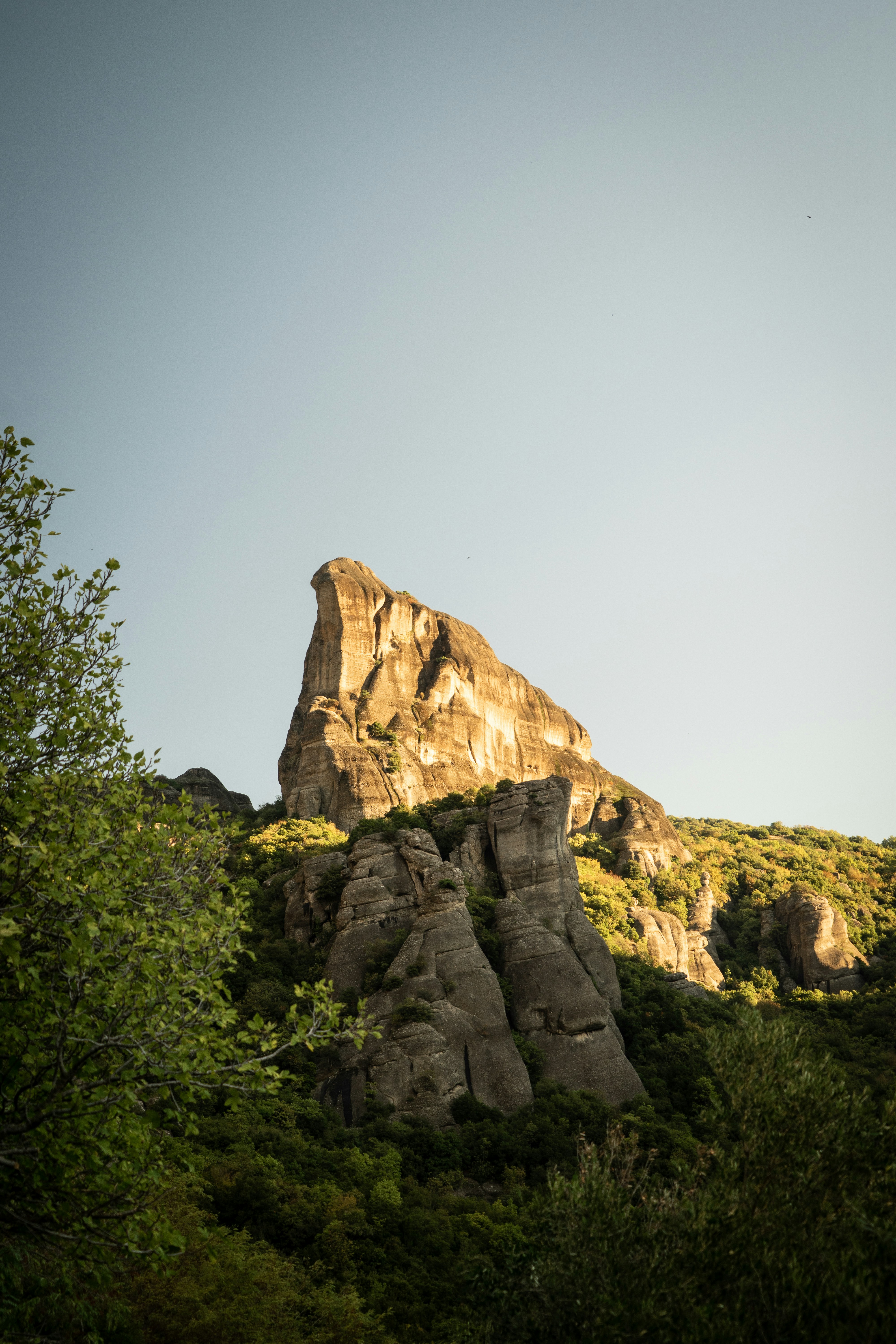 Photo by melimascella_