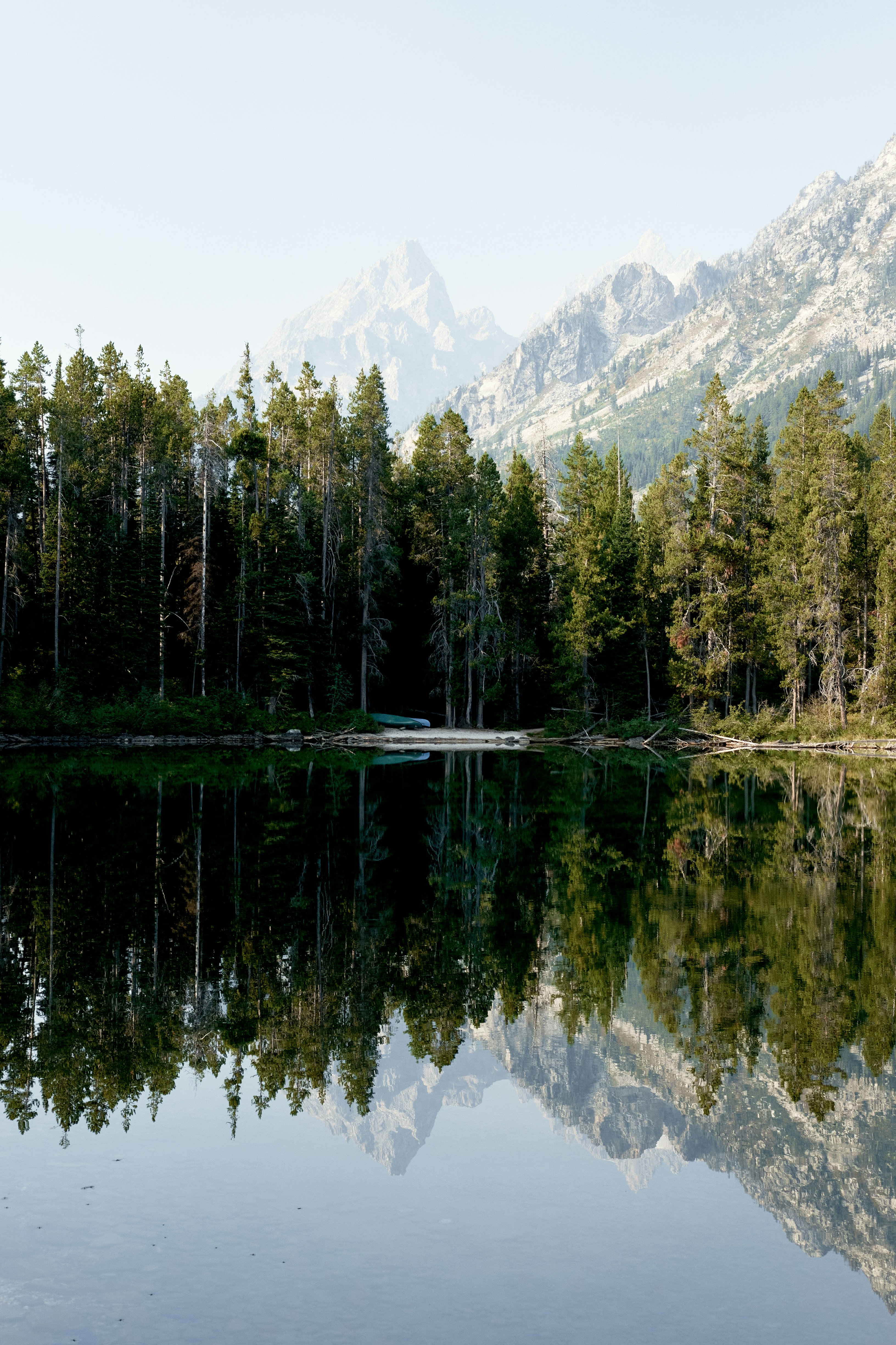 a body of water surrounded by trees