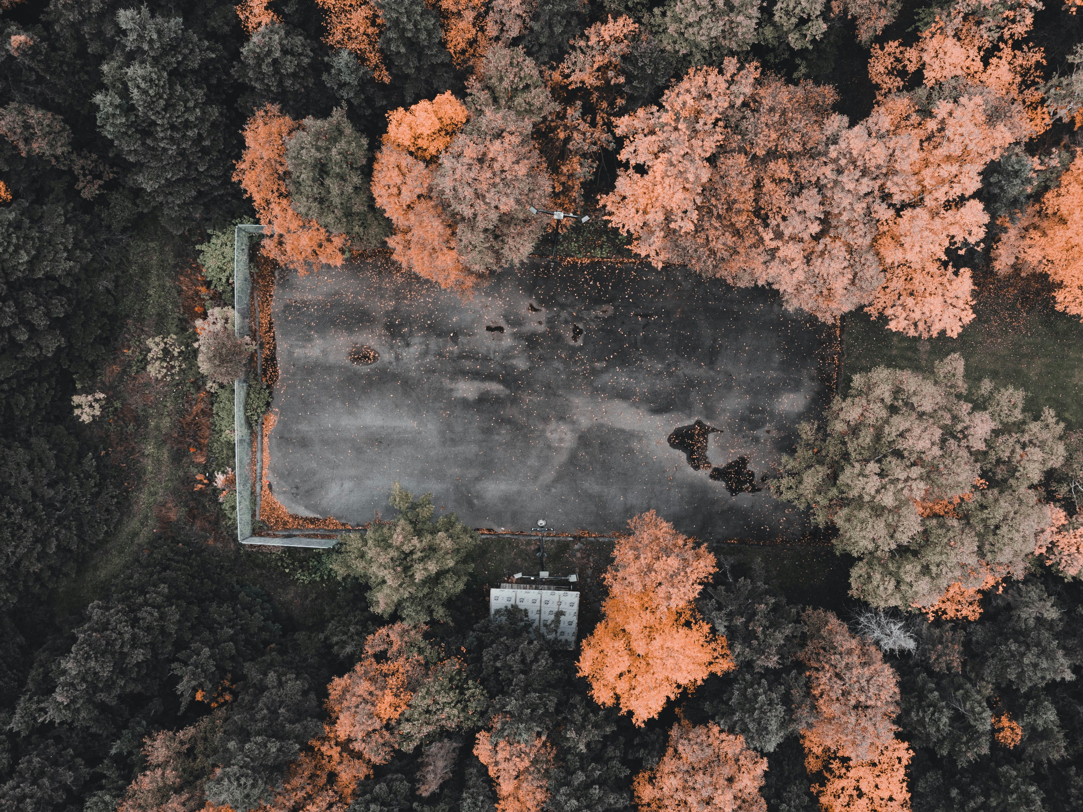 Photo by introspectivedsgn