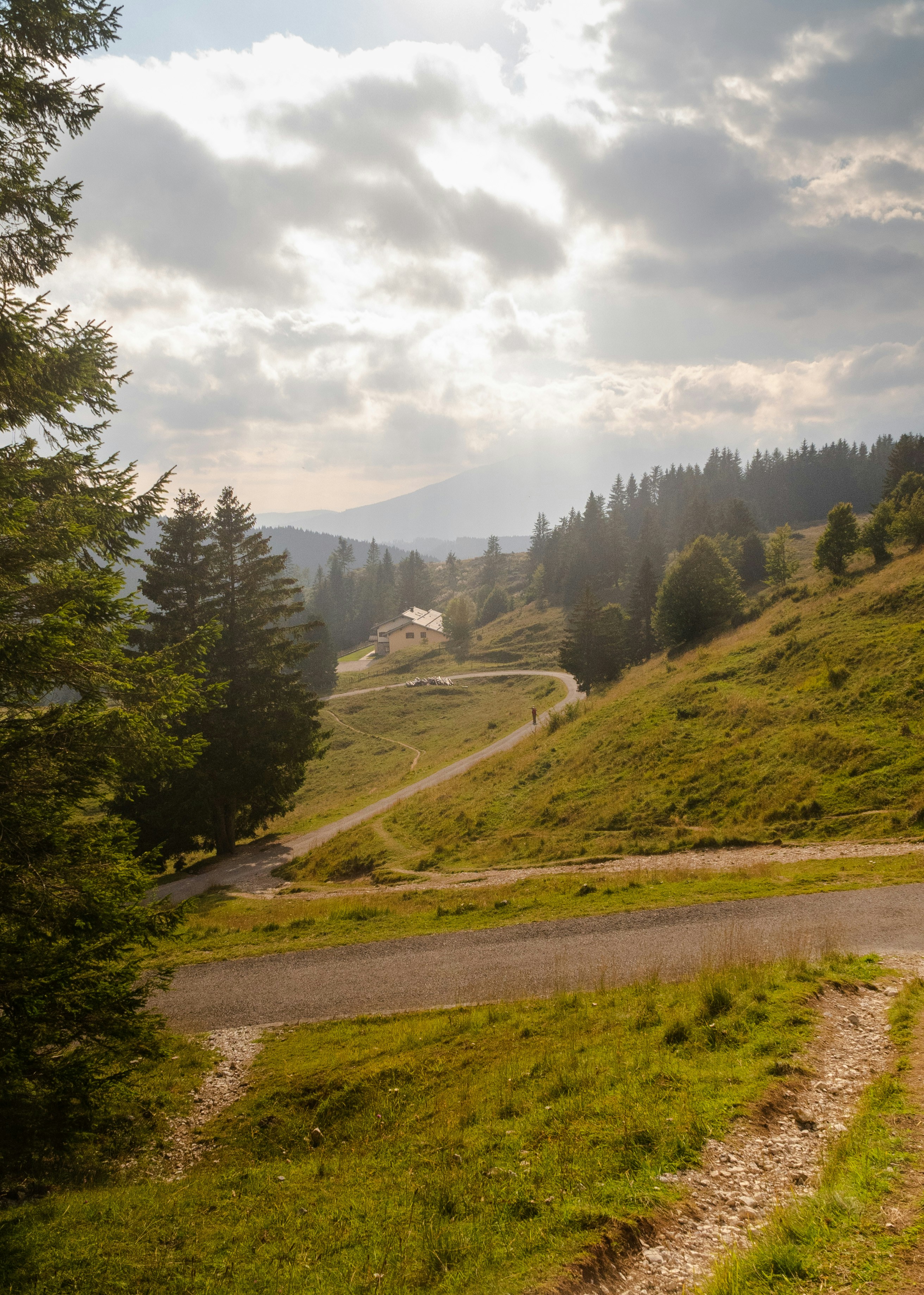 Photo by albertobaldo