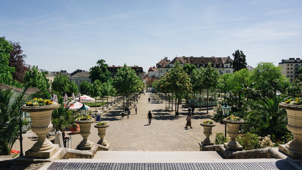 Un parque con muchos árboles y plantas