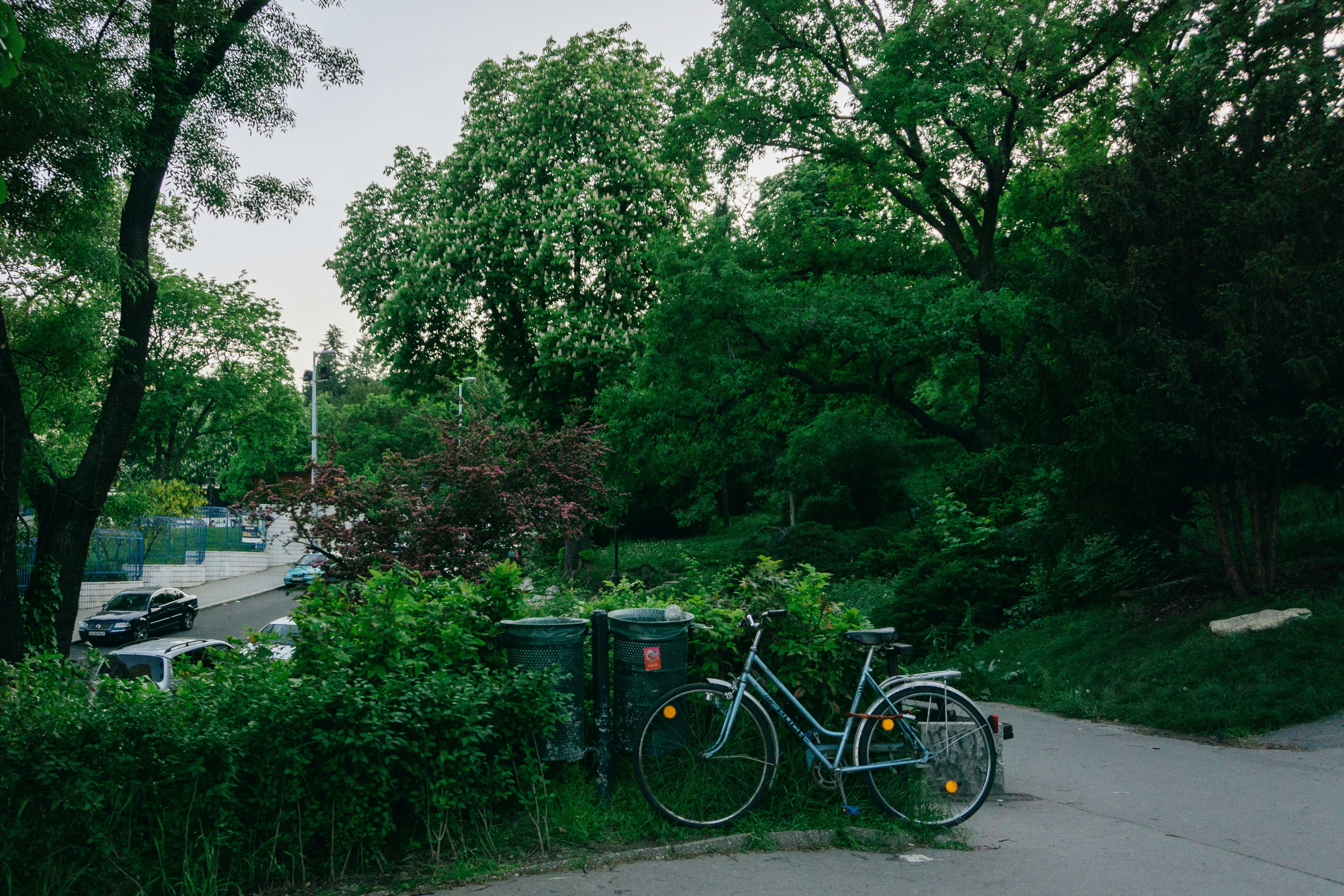 Pedal Through Europe: Top Cycling Routes for Your Next Adventure