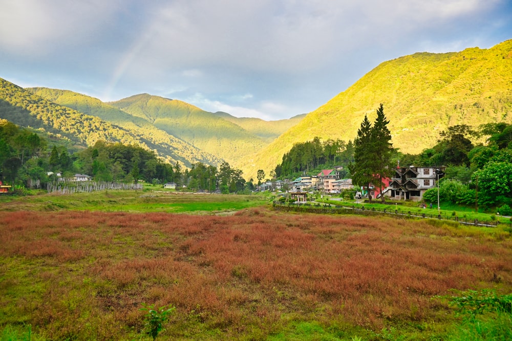 a lush green field surrounded by mountains under a cloudy sky