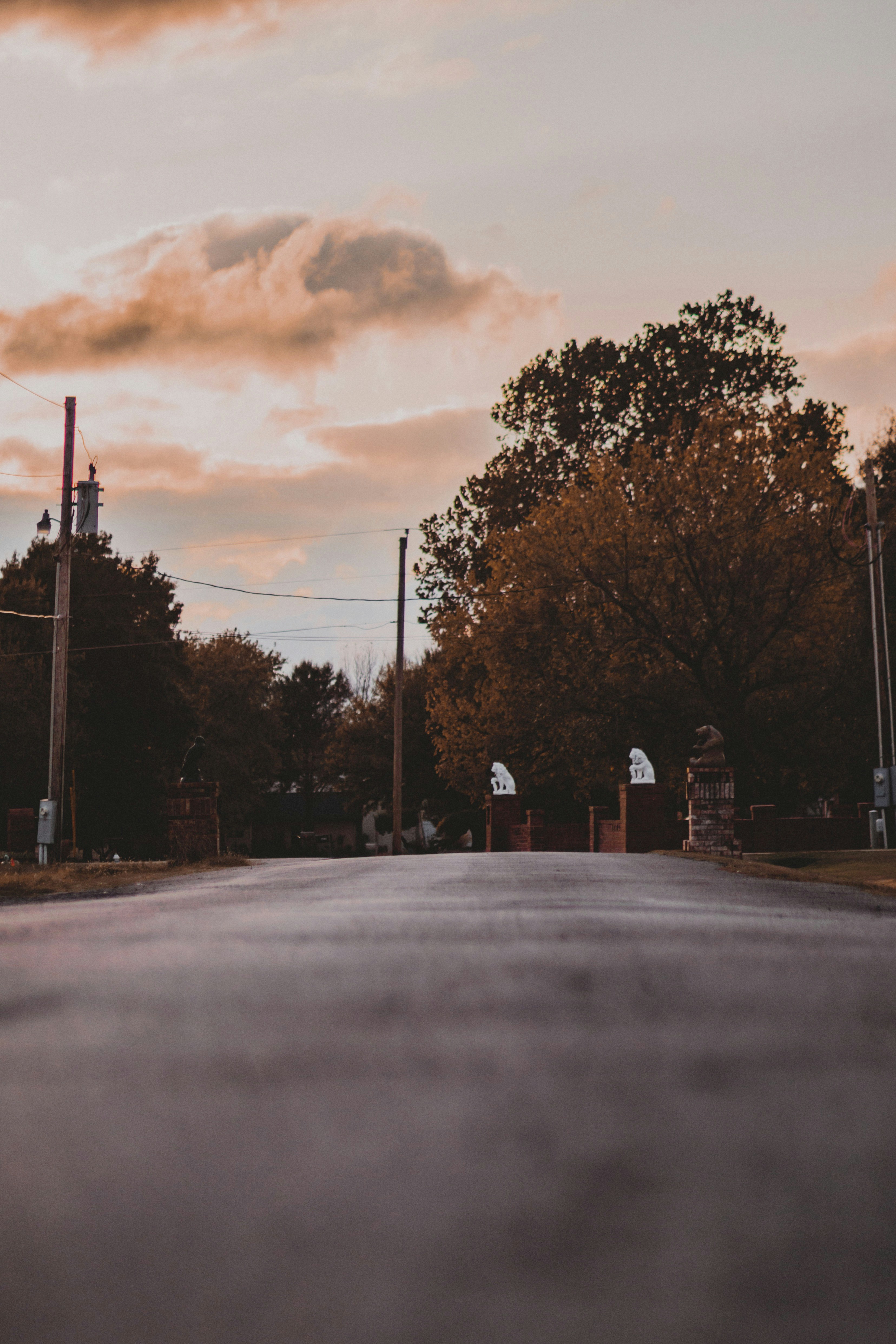 Photo by isaacmartin