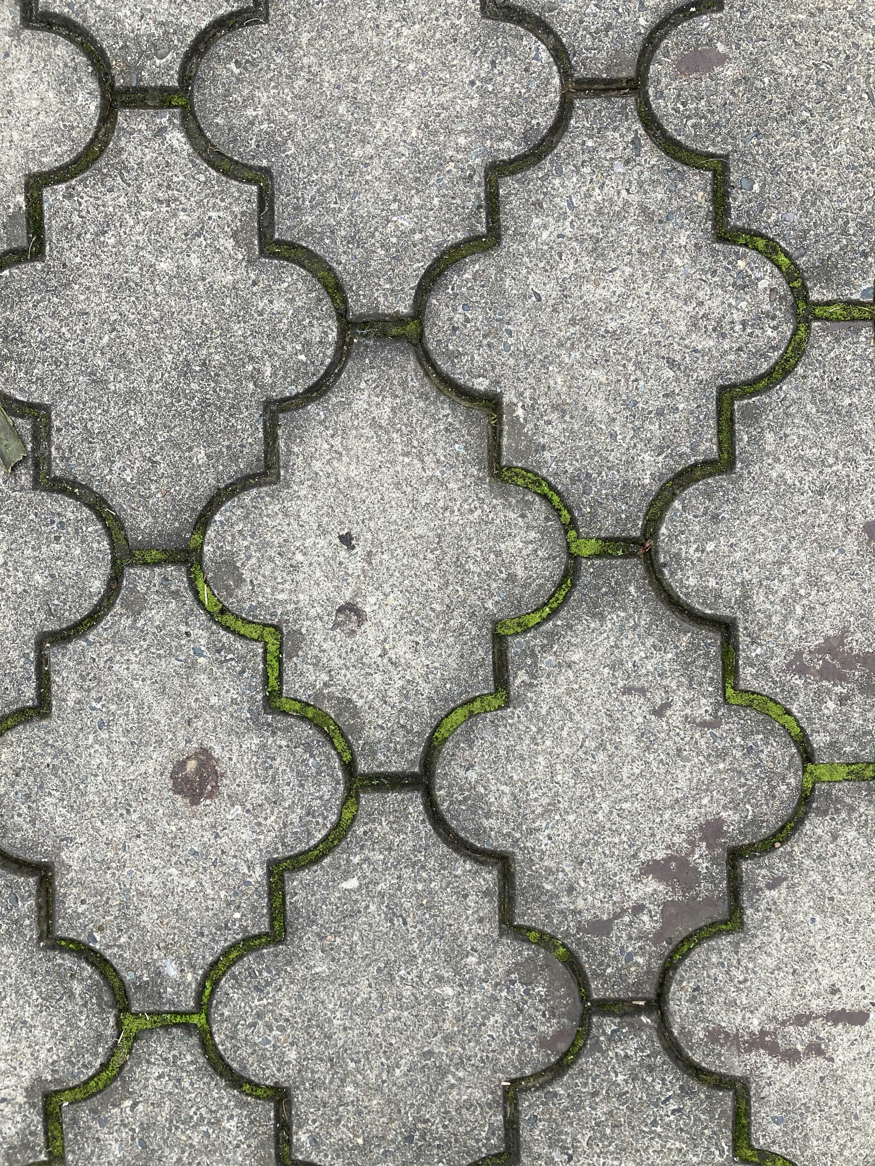 Exploring Different Types of Tuff Tile Molds and Their Uses in Pakistan