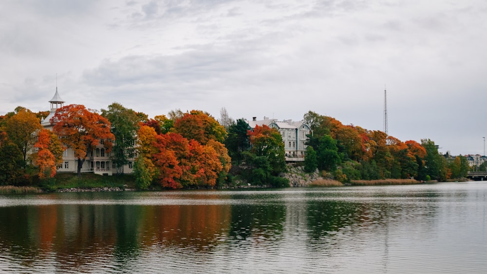 a large body of water surrounded by trees