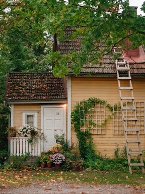 A charming, rustic yellow wooden house surrounded by lush greenery and vibrant flowers. A wooden ladder leans against the roof near a tree with green leaves. The front door, marked with the number 24, is framed by white trim. Various potted plants and flowers decorate the entrance.