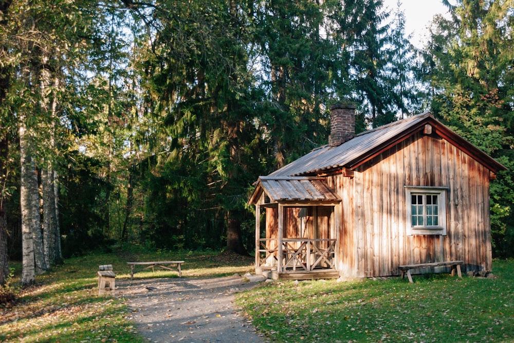 Una pequeña cabaña de madera en medio de un bosque