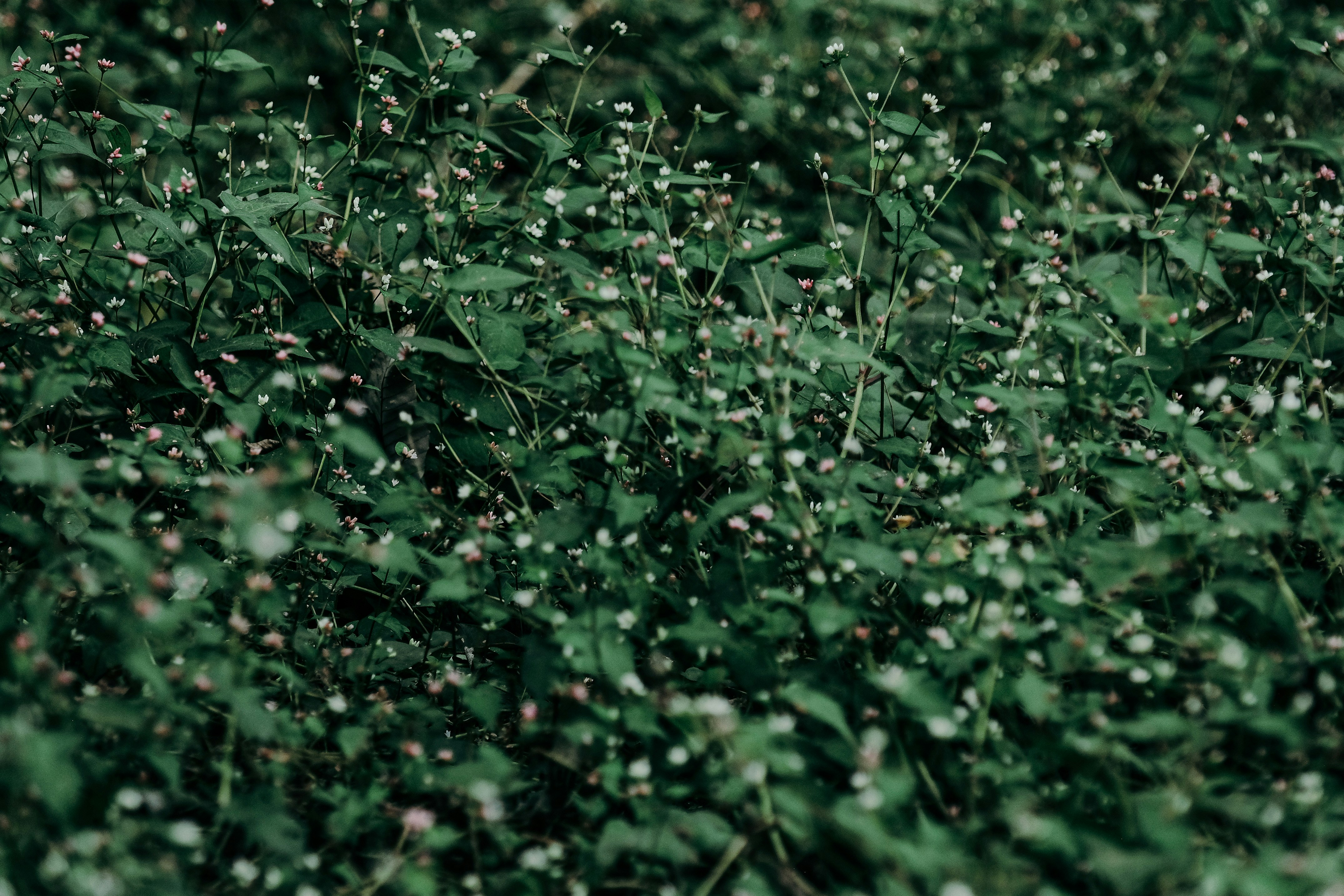 Photo by insungpandora