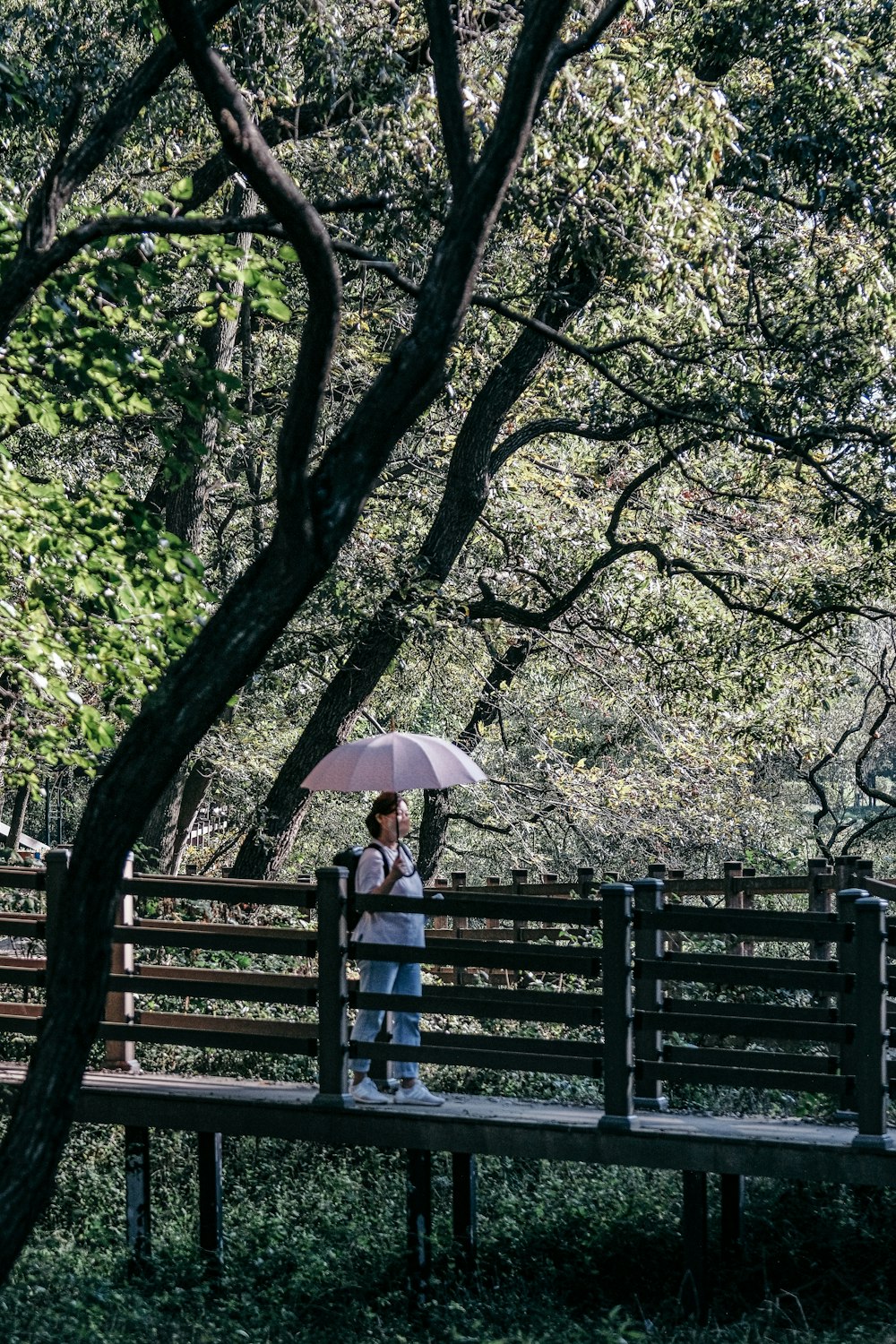 una persona in piedi su una panchina che tiene un ombrello