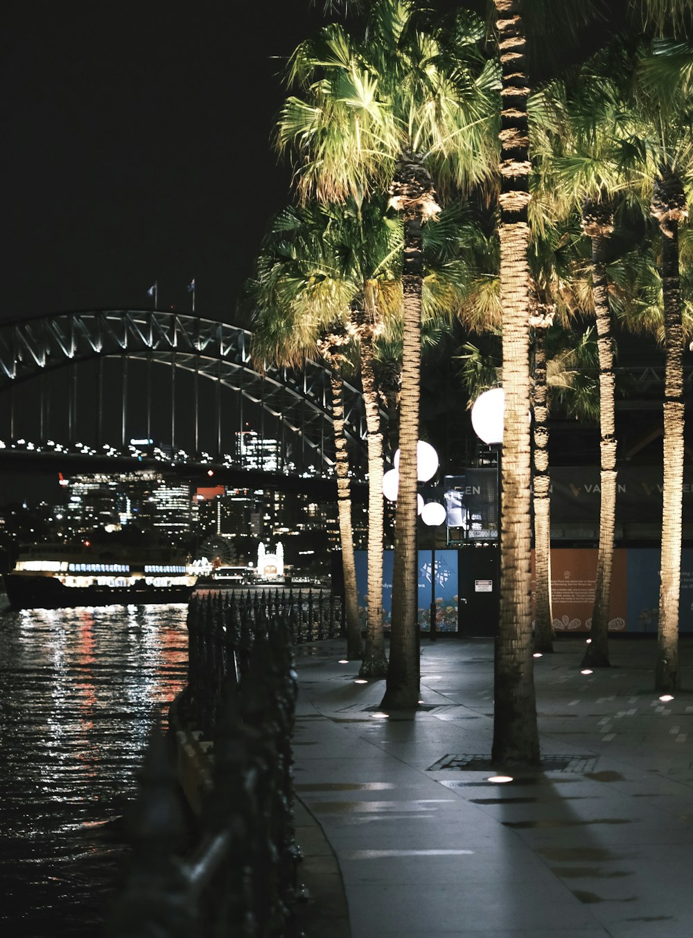palm trees line the sidewalk of a waterfront at night