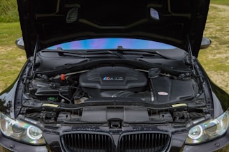 the engine of a car is open on the grass