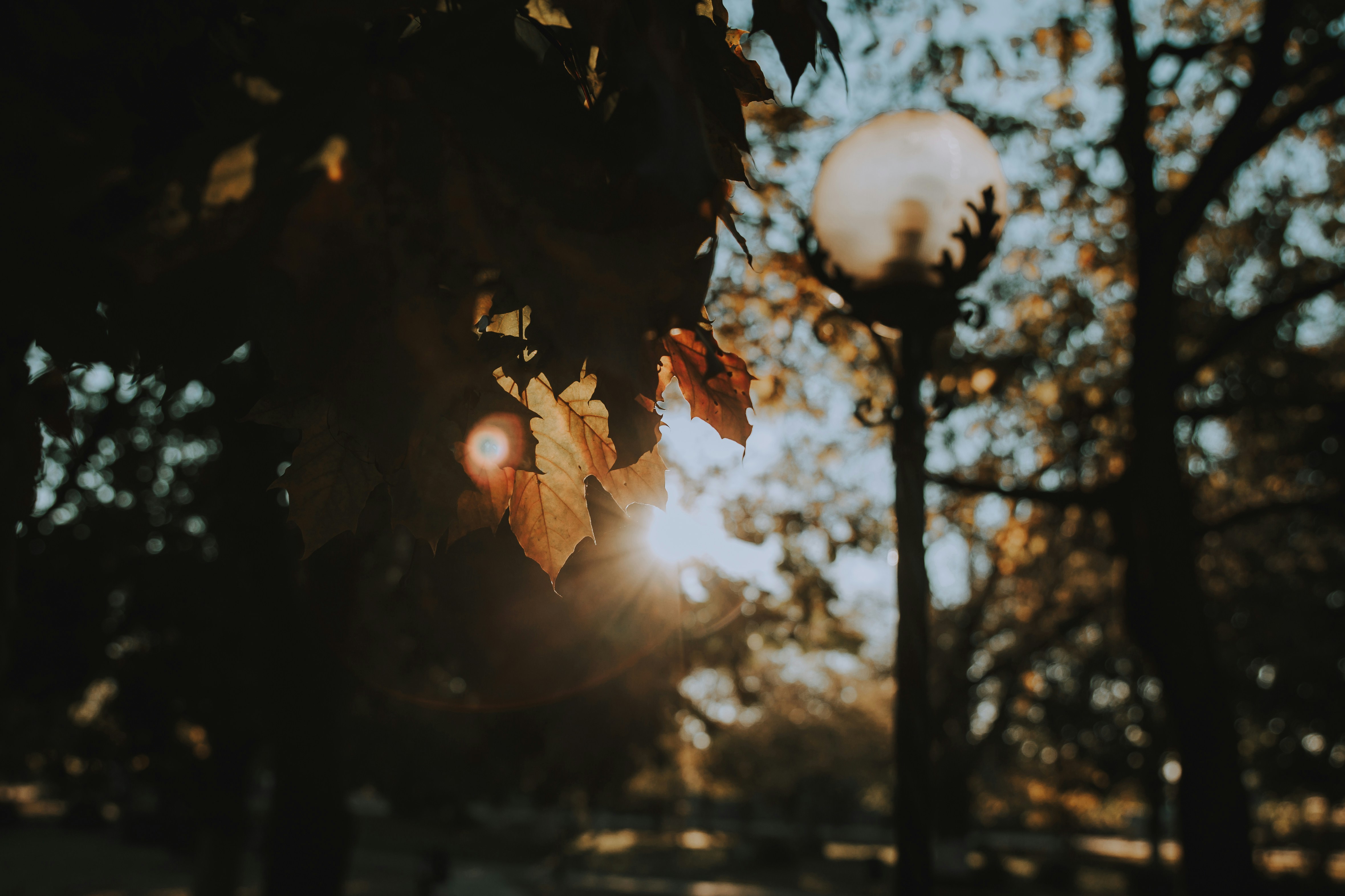 Photo by sylvester_s