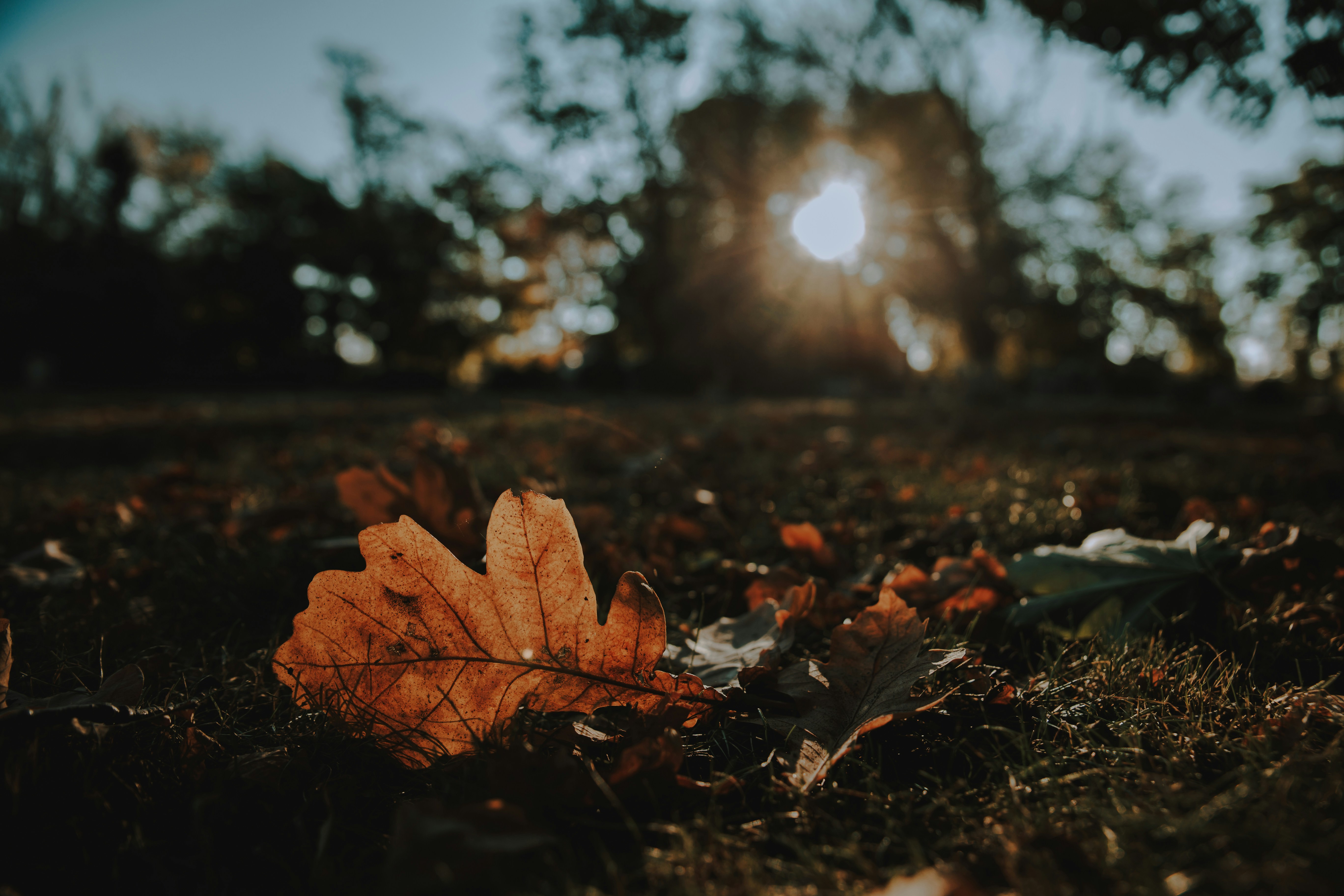 Photo by sylvester_s