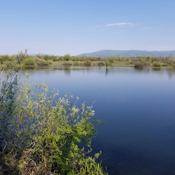 A serene lake reflecting the clear blue sky, surrounded by lush greenery.