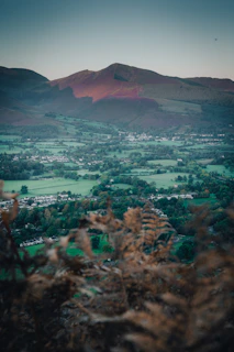 A scenic shot of the Central Valley area highlighting the community Central Valley MSA serves.