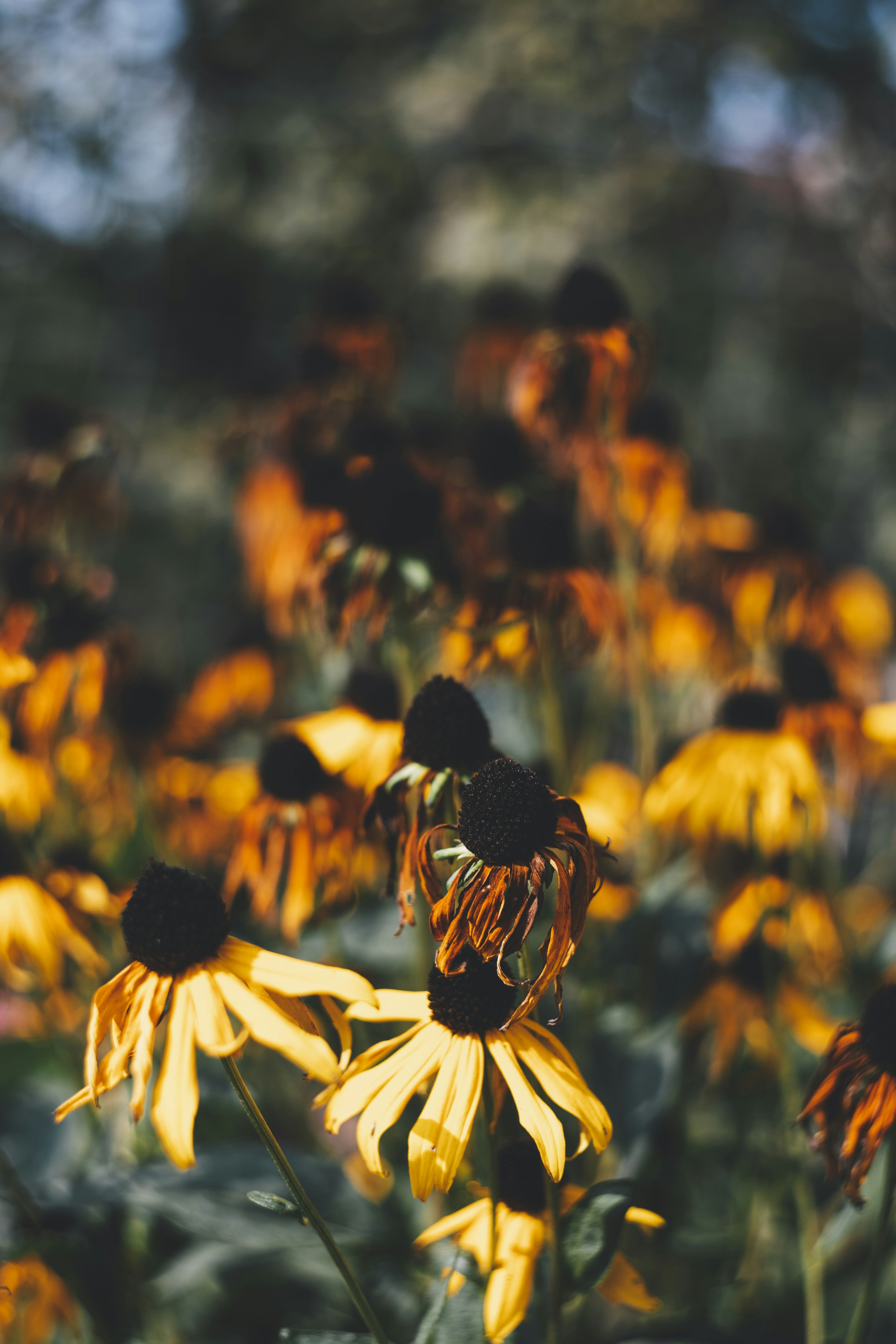 Photo by markusspiske