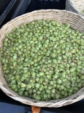 A woven basket filled with a large quantity of fresh green hops resting on a dark surface. The hops are small, cone-shaped, and densely packed within the basket. Another basket is partially visible in the background.