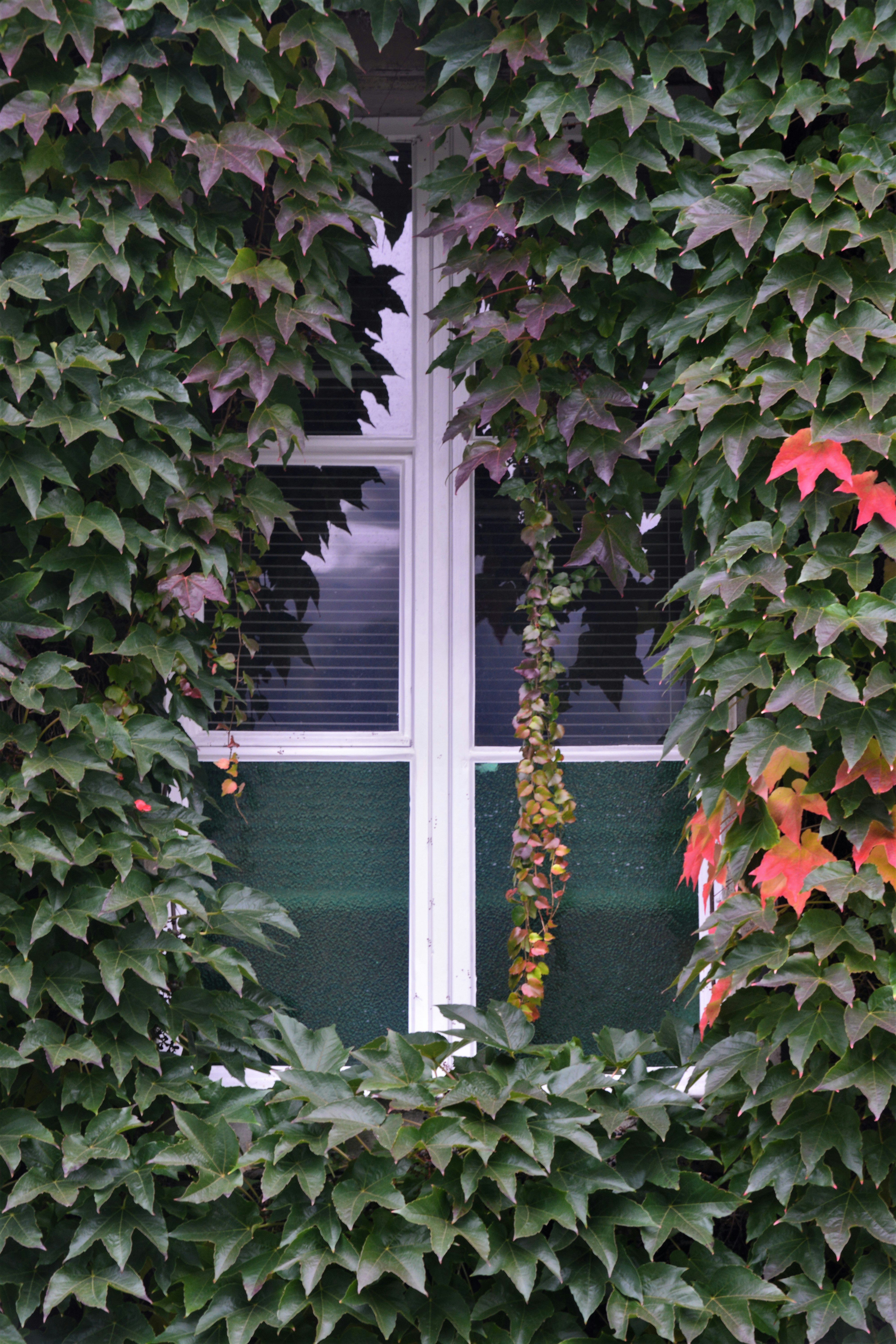 Photo by pedrino5_official