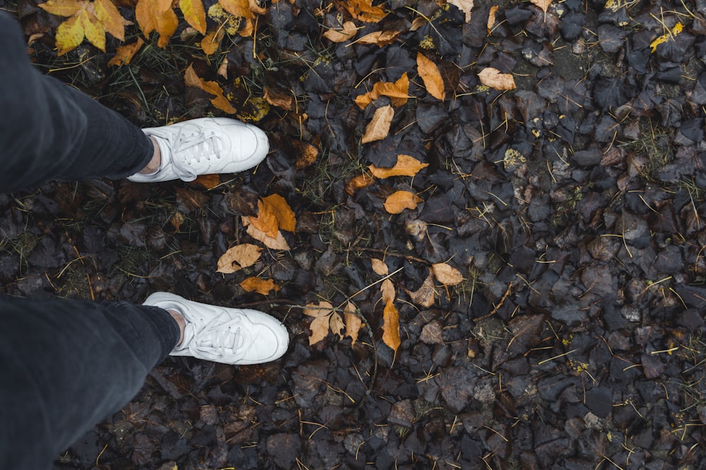 a person standing on top of a pile of leaves