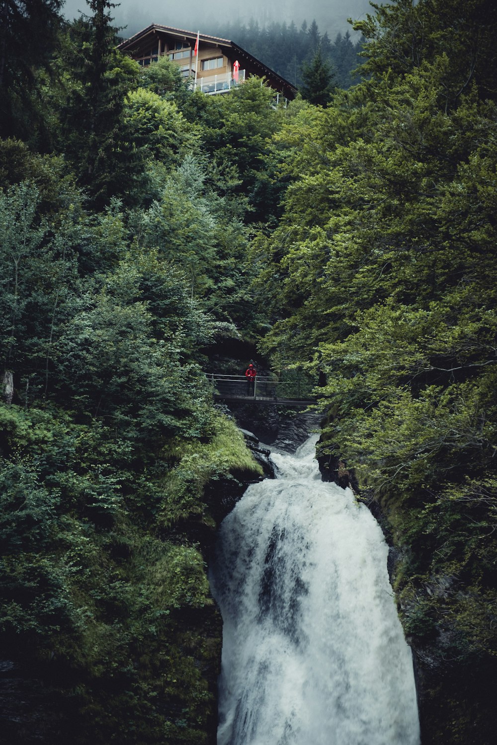 a man standing on top of a waterfall next to a forest