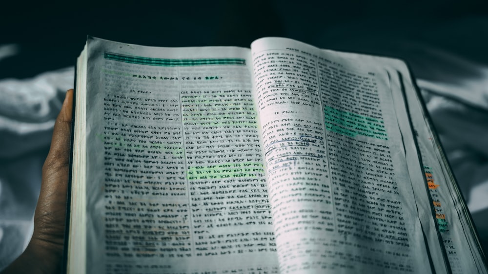 a person holding a book in their hand