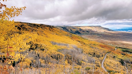 The Colorado Rockies - A high-country road through a gold aspen hillside