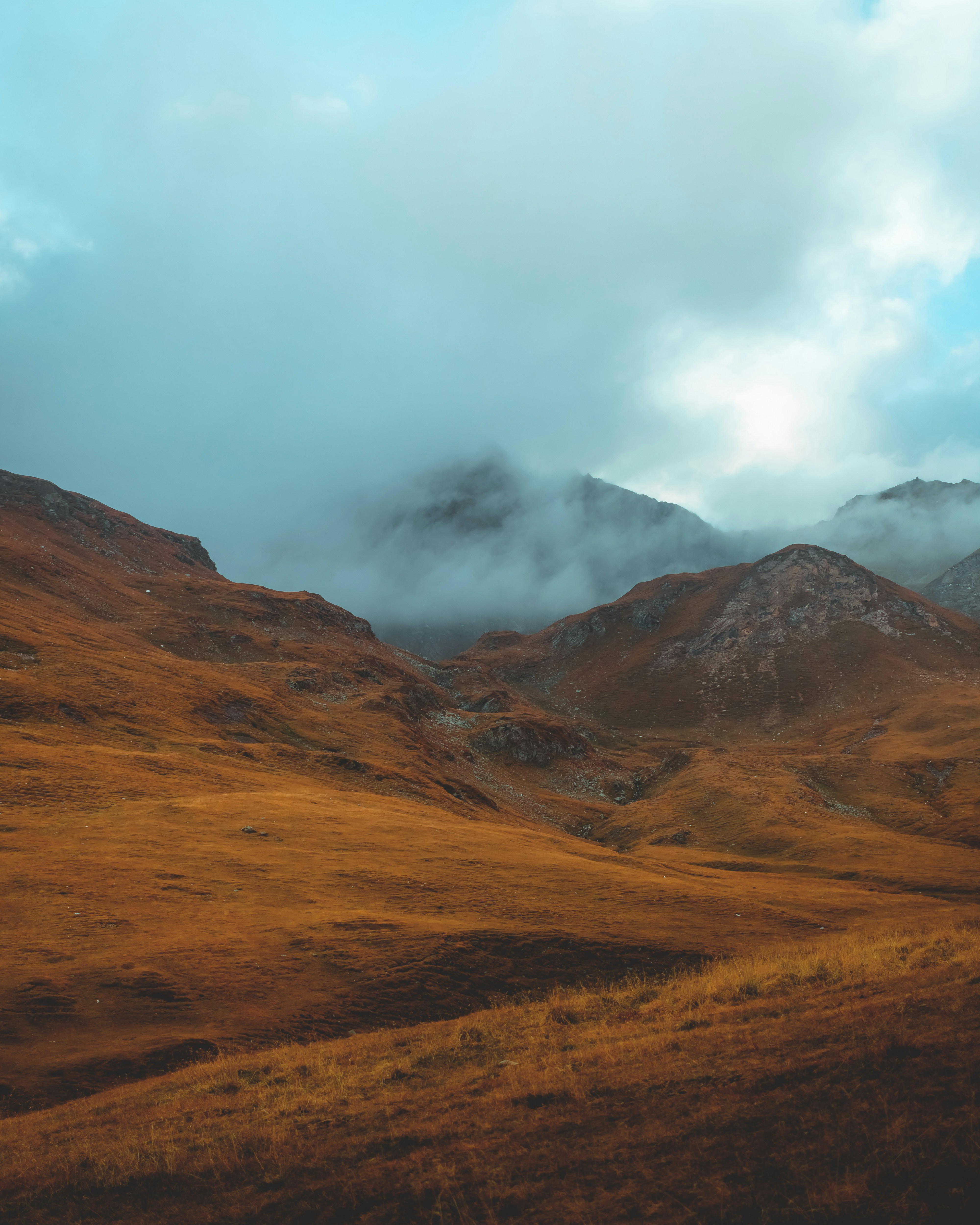 ein grasbewachsenes Feld mit Bergen im Hintergrund