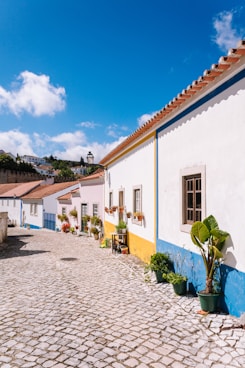 a cobblestone street lined with colorful houses