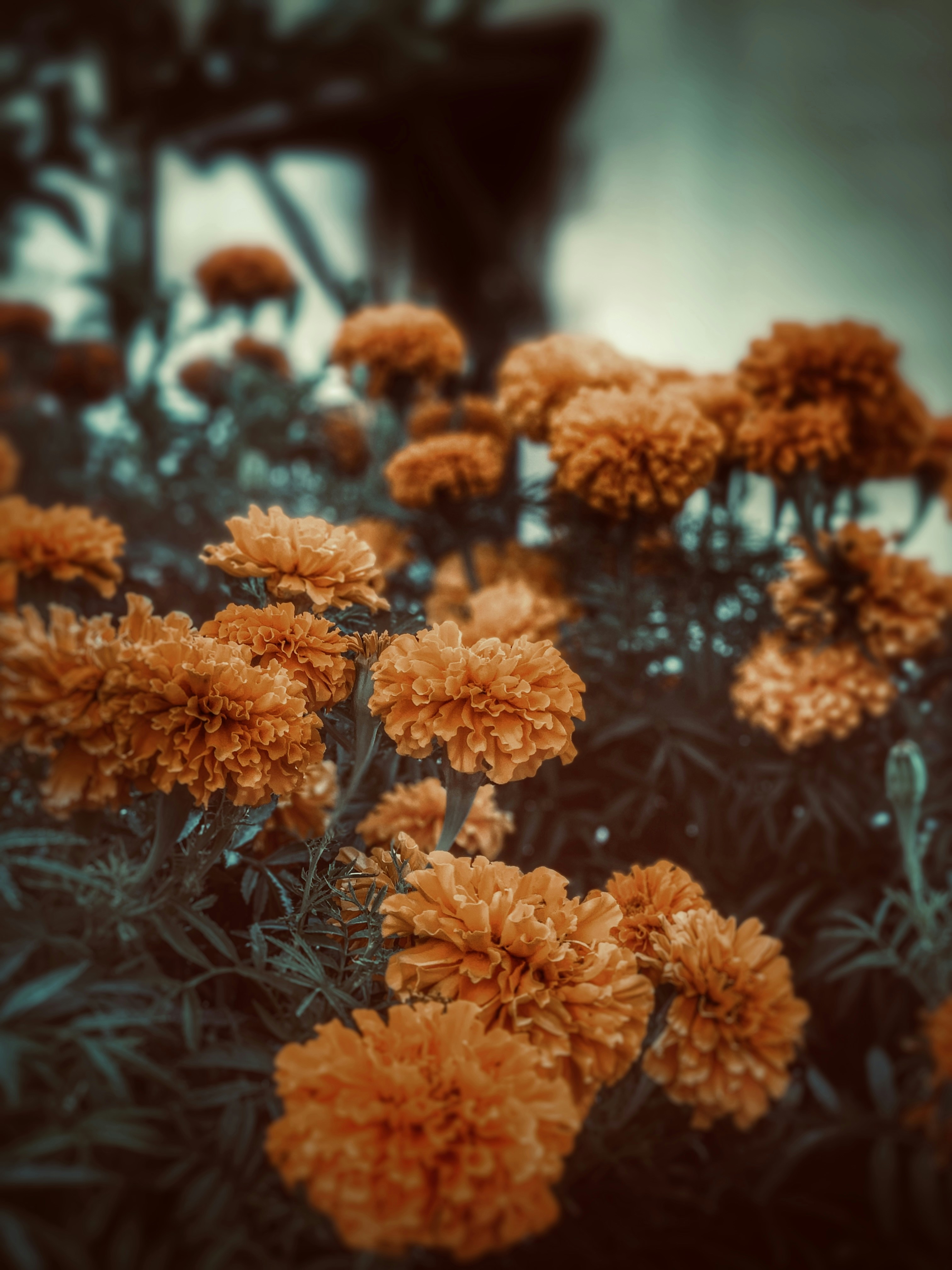 Photo by mintsii