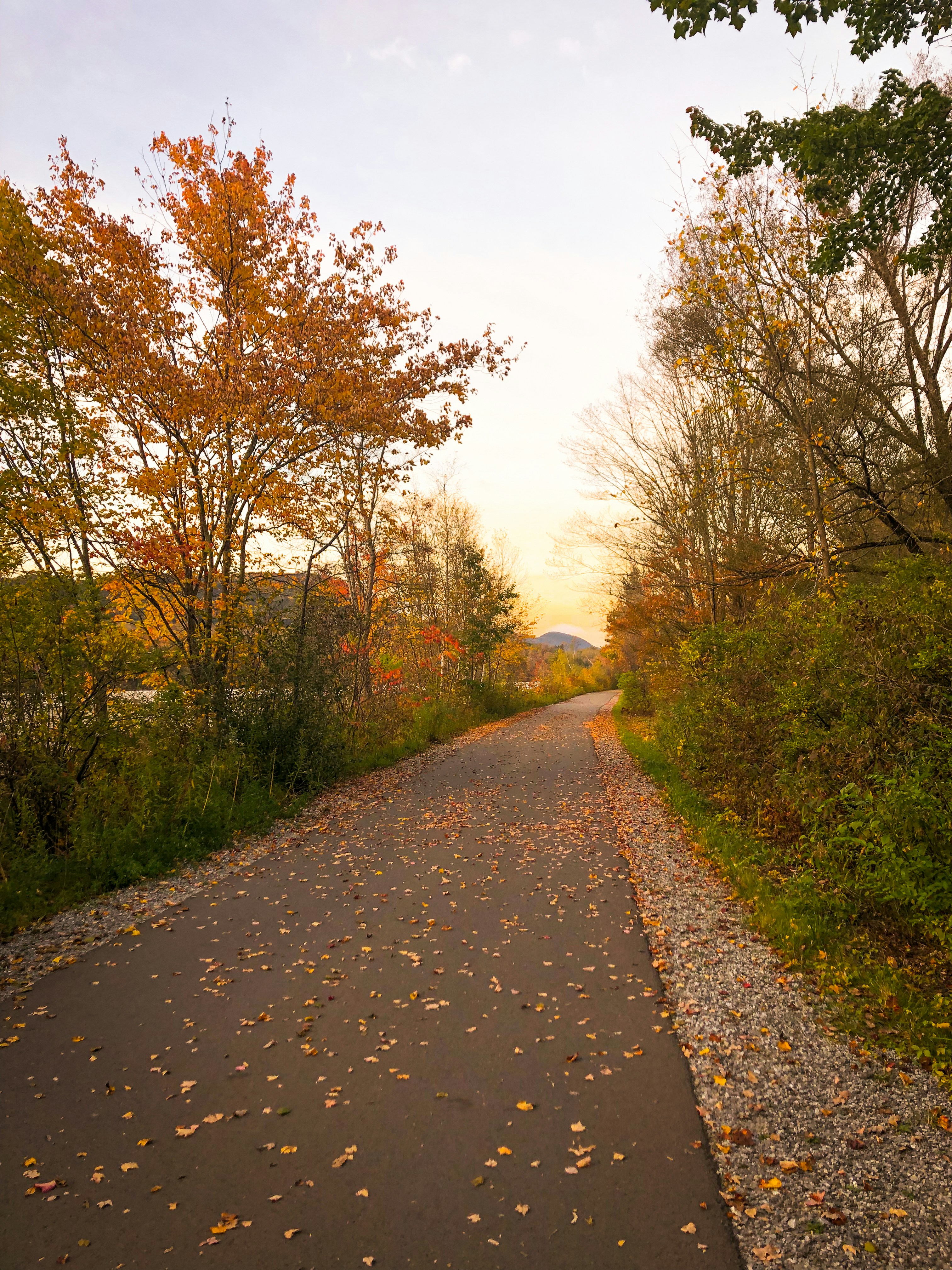 Photo by bonniekdesign