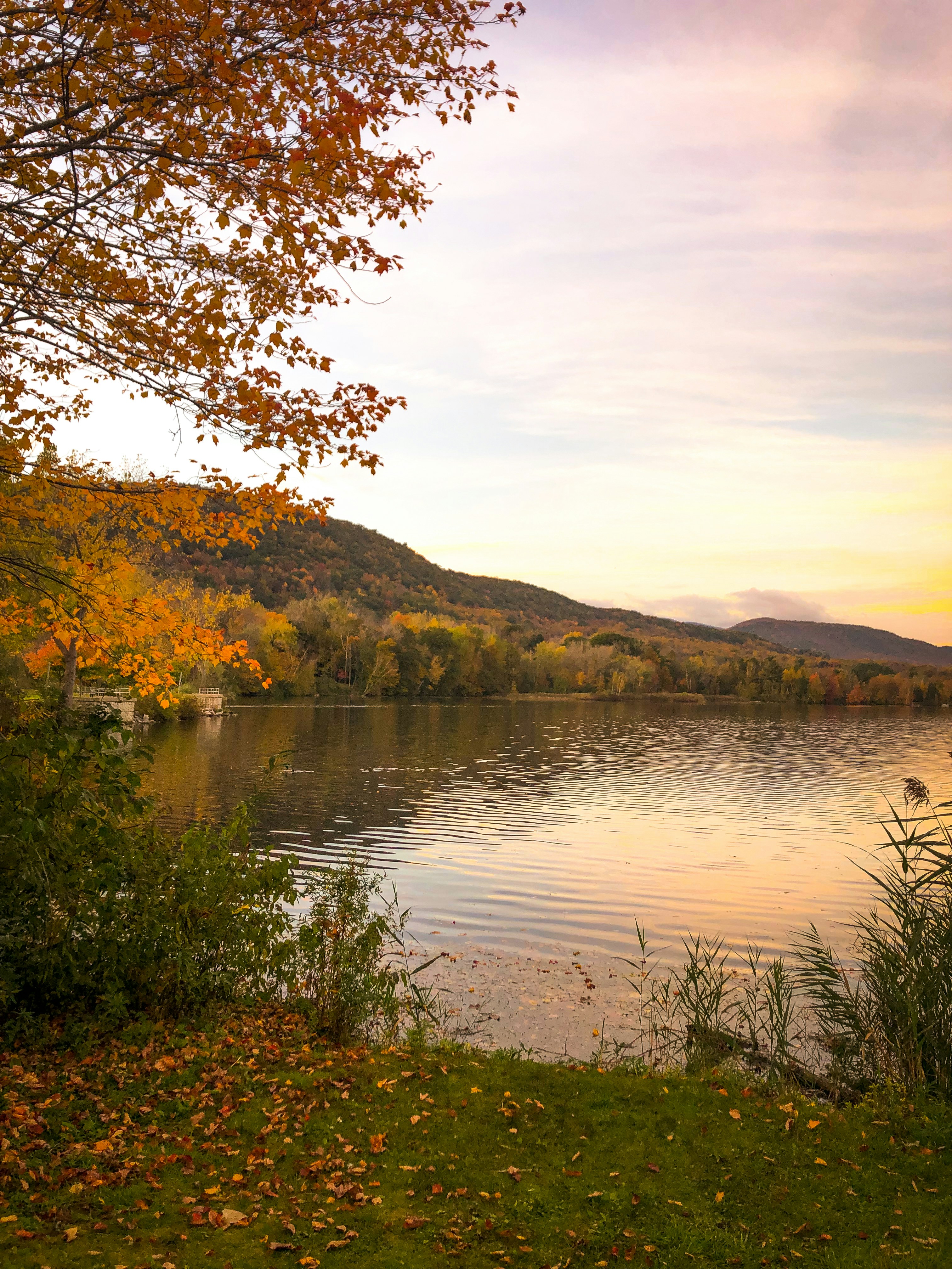 Photo by bonniekdesign