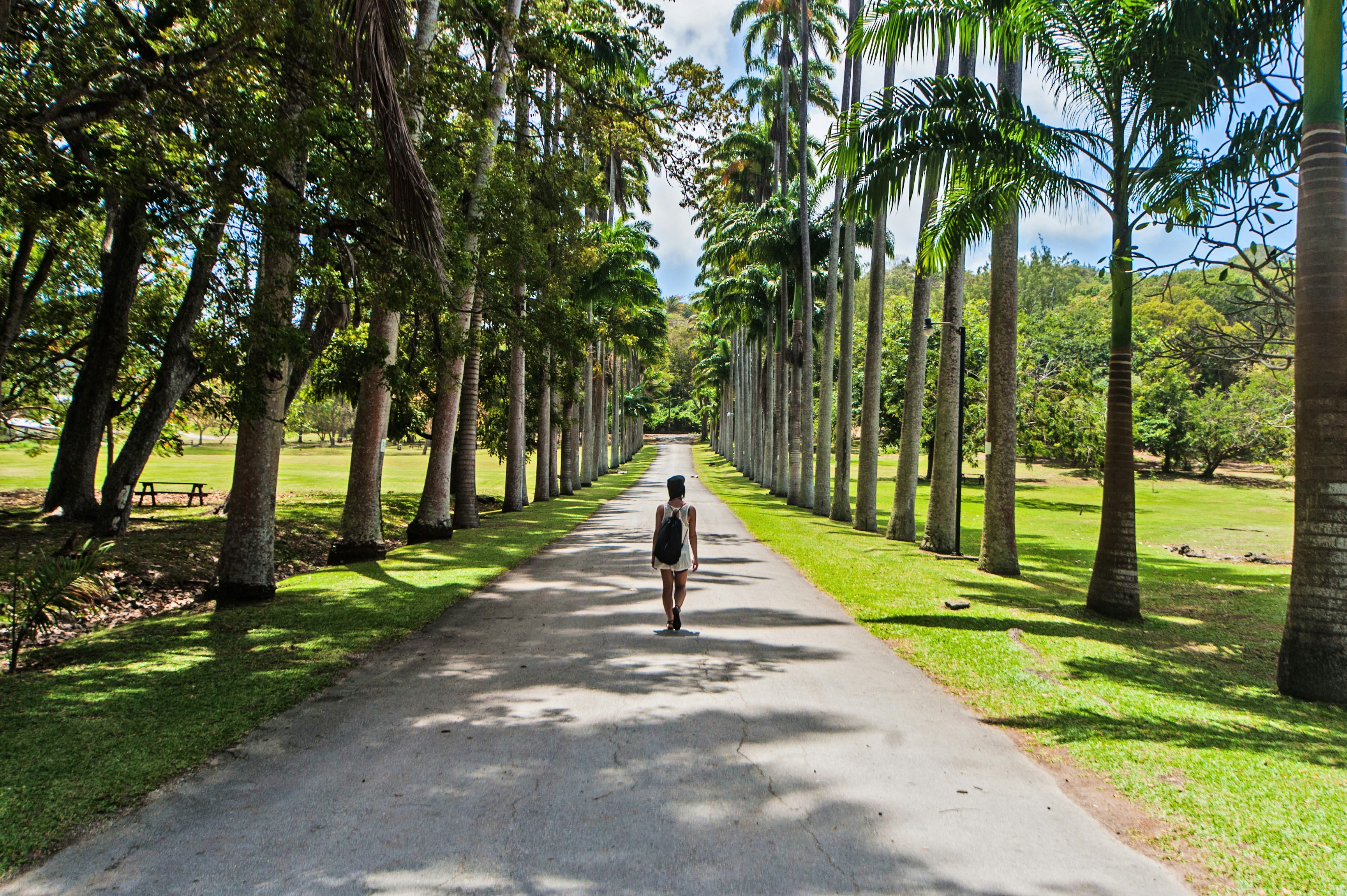 codrington college