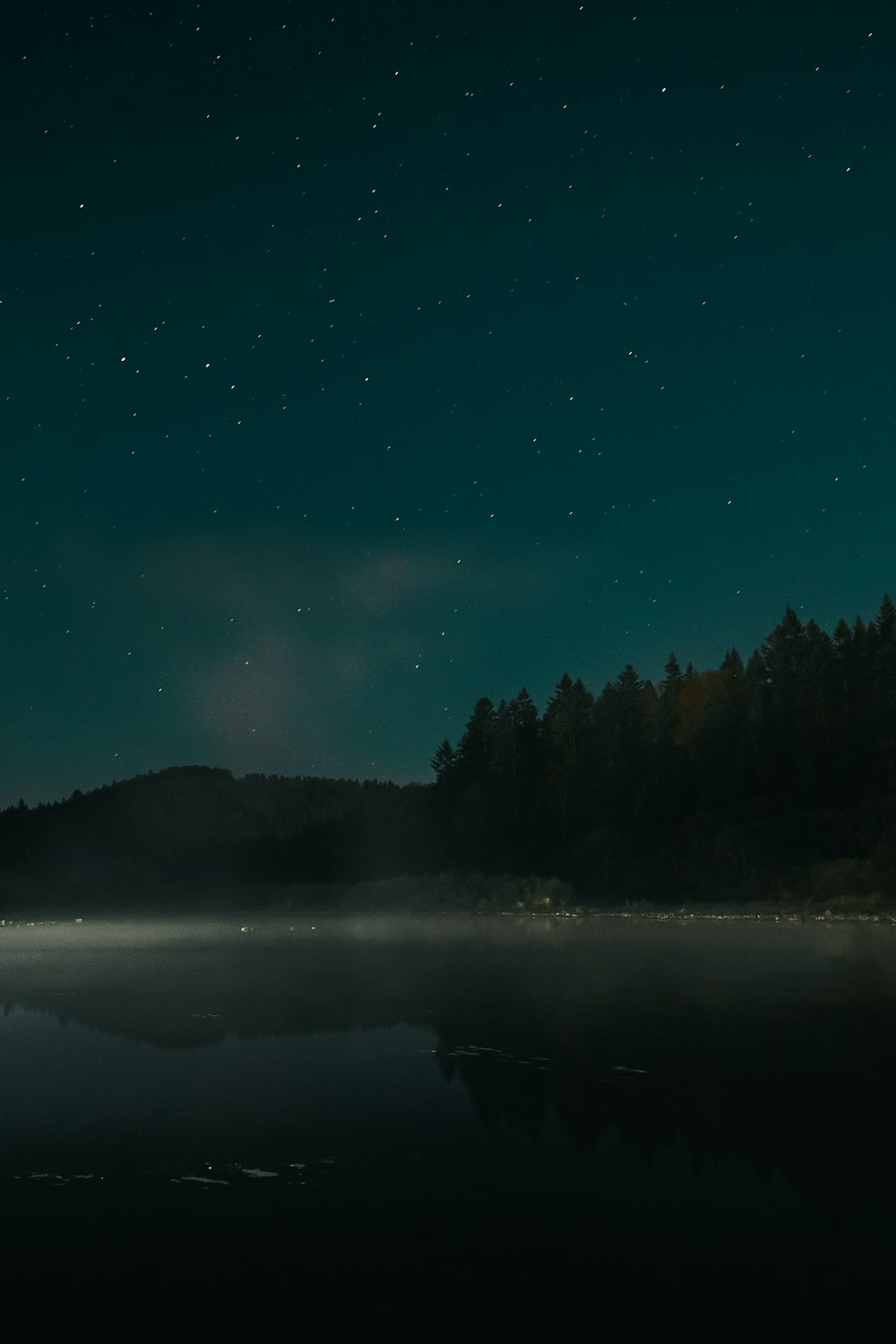 a body of water surrounded by trees under a night sky