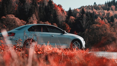a white car parked in a field of tall grass